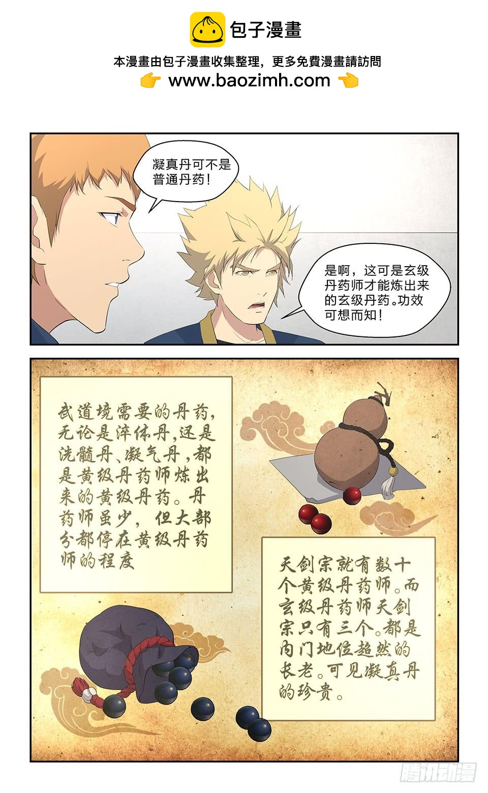 《一剑定干坤》六十一 凝真丹 第10页
