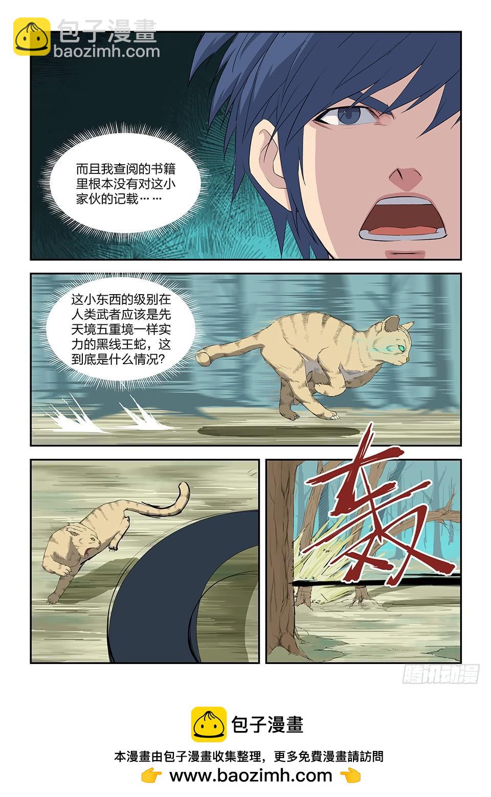 《一剑定干坤》八十四 神秘妖兽 第13页