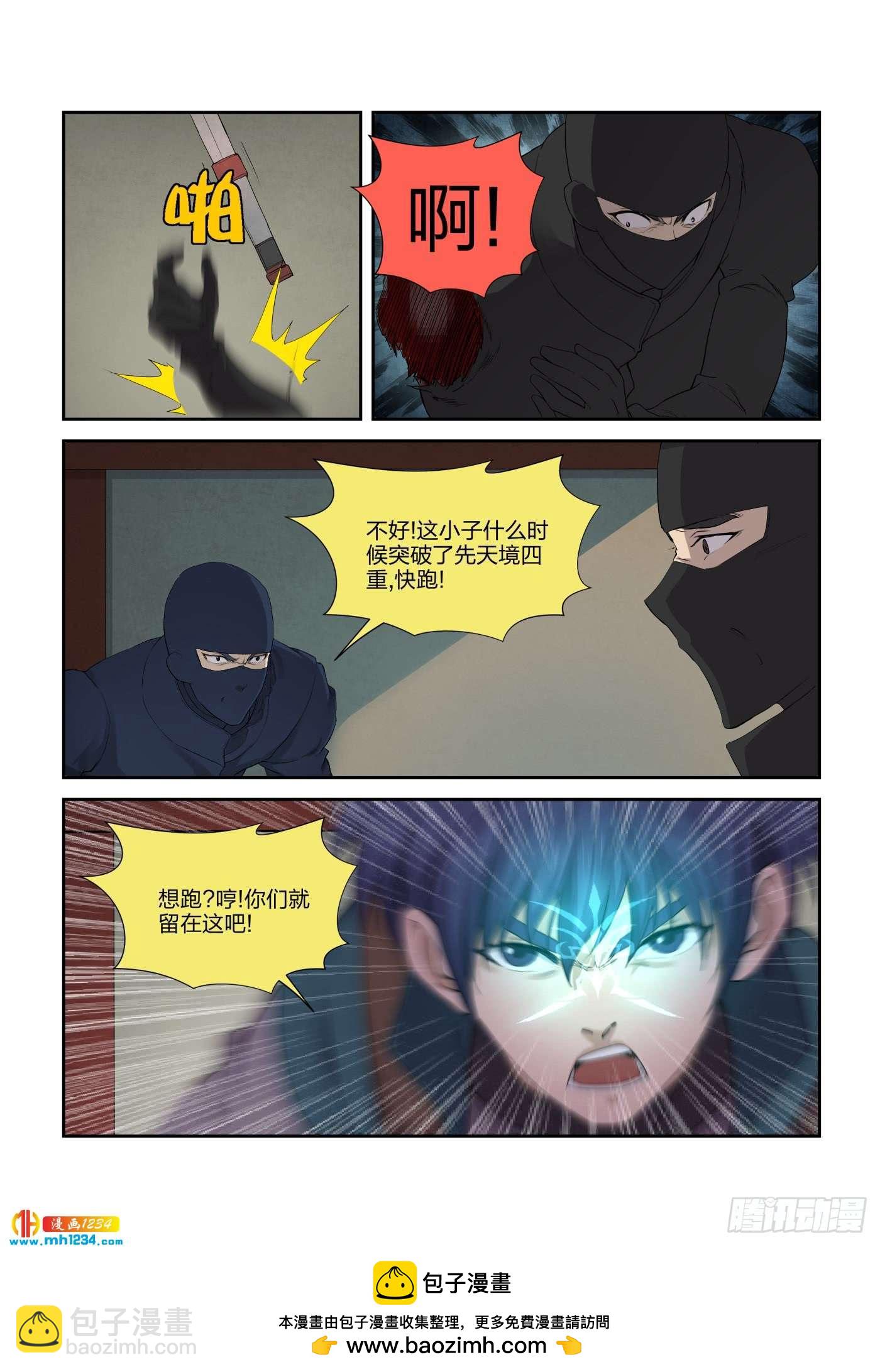 《一剑定干坤》217 遇刺 第13页