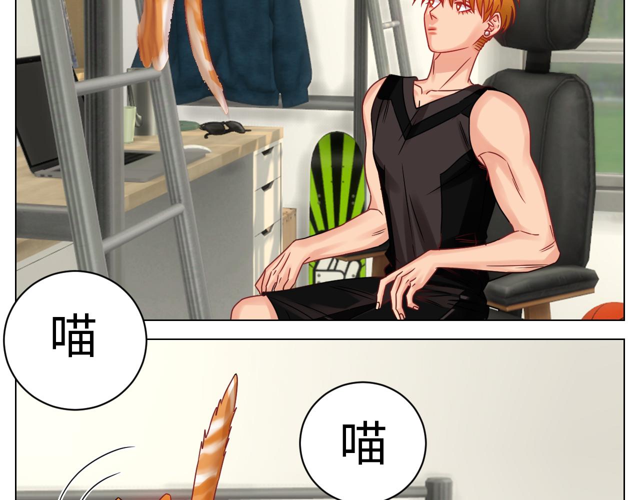 《男生宿舍303【快】》狮子（带局长）割蛋记 第16页