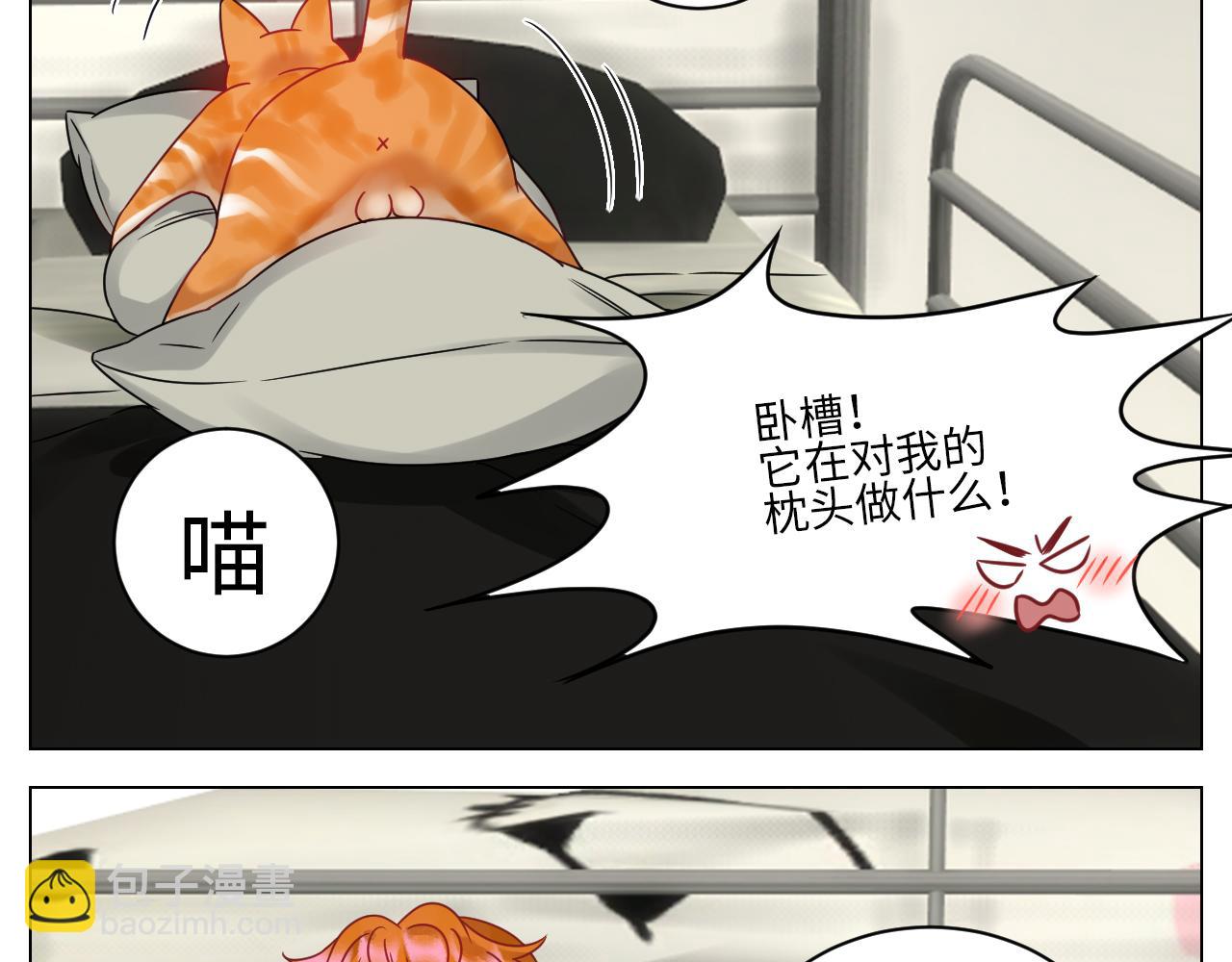 《男生宿舍303【快】》狮子（带局长）割蛋记 第17页