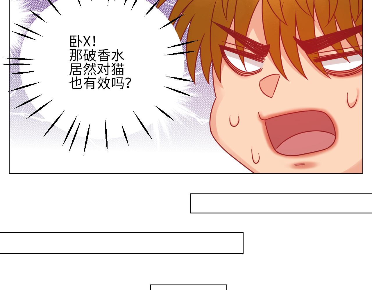 《男生宿舍303【快】》狮子（带局长）割蛋记 第19页