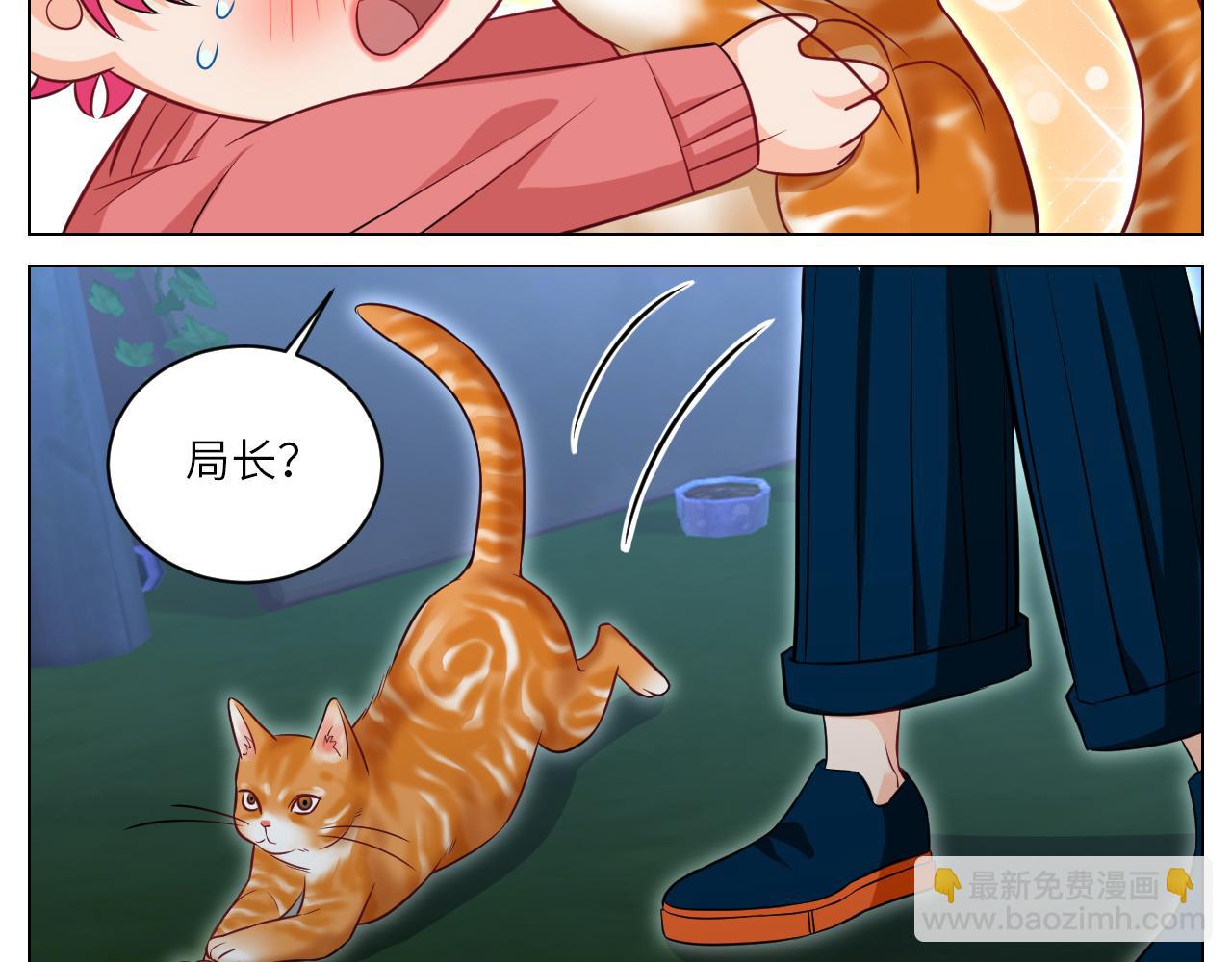 《男生宿舍303【快】》找到的可不止小猫咪 第11页