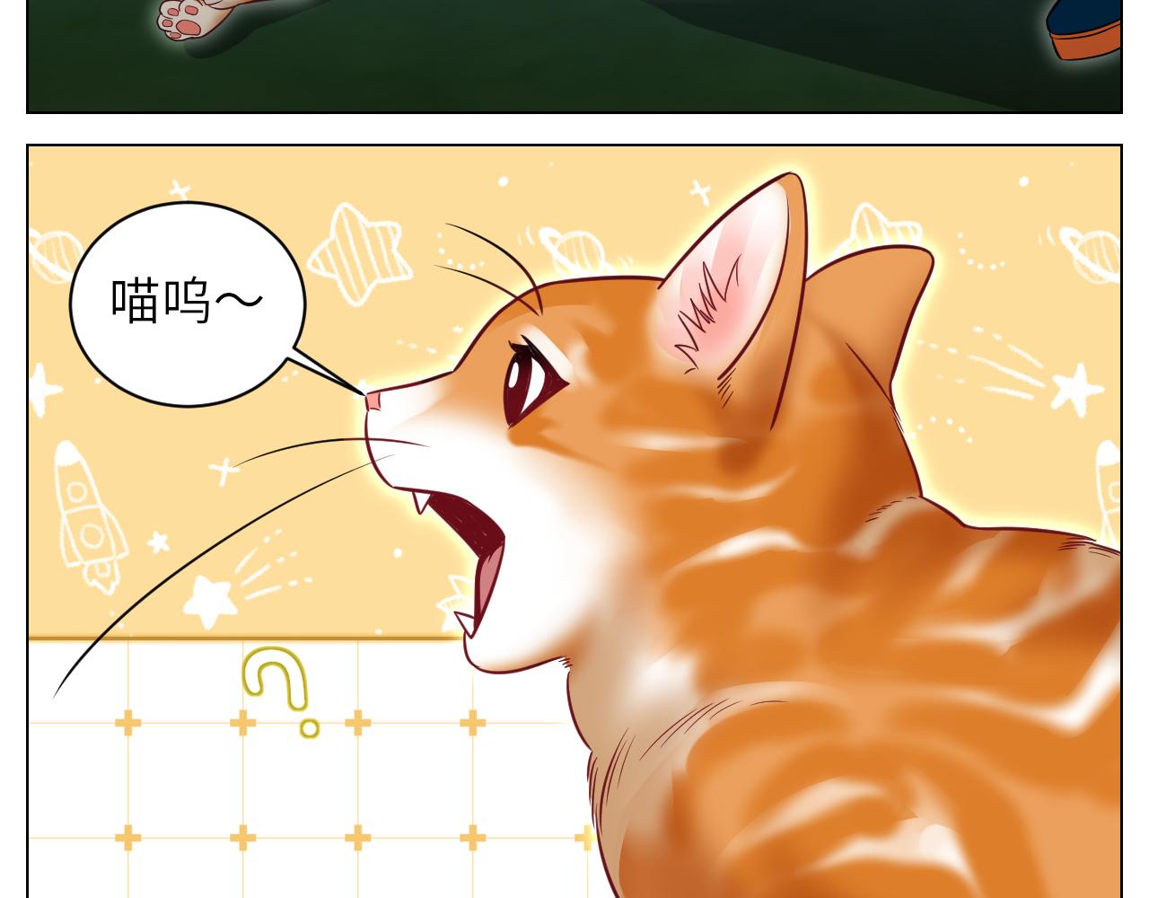《男生宿舍303【快】》找到的可不止小猫咪 第12页