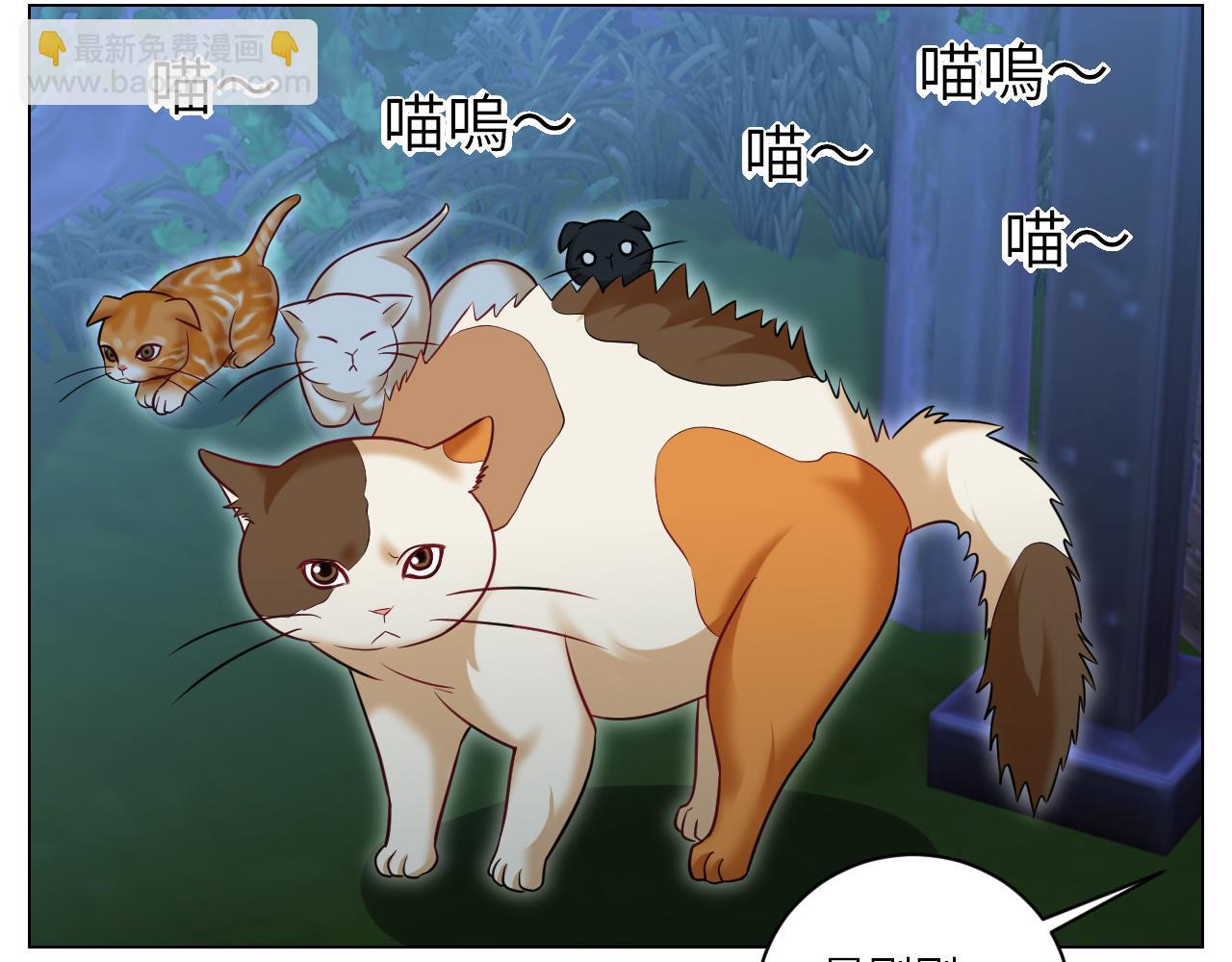 《男生宿舍303【快】》找到的可不止小猫咪 第15页