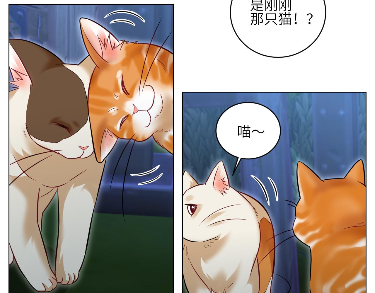 《男生宿舍303【快】》找到的可不止小猫咪 第16页