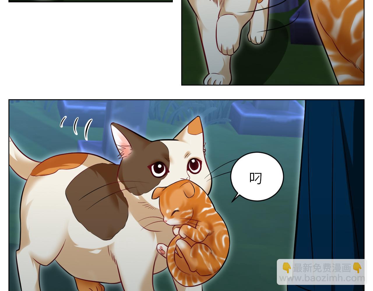 《男生宿舍303【快】》找到的可不止小猫咪 第17页