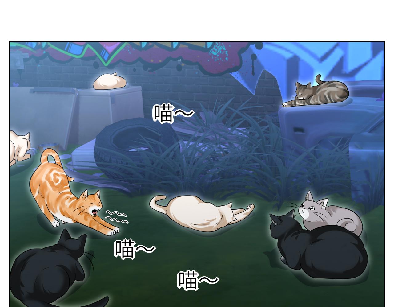 《男生宿舍303【快】》找到的可不止小猫咪 第3页