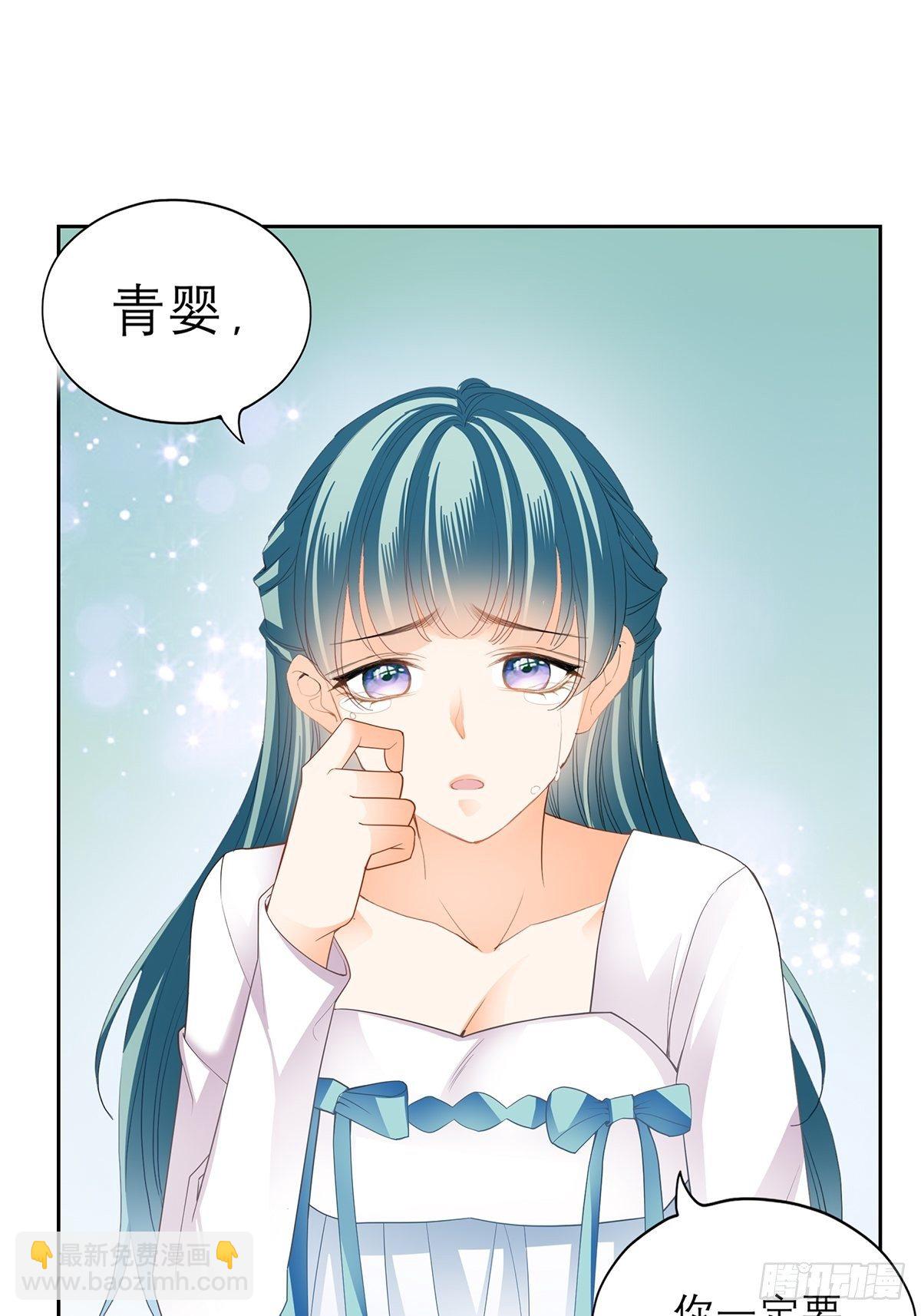 《本王要你》偷天换日 第29页