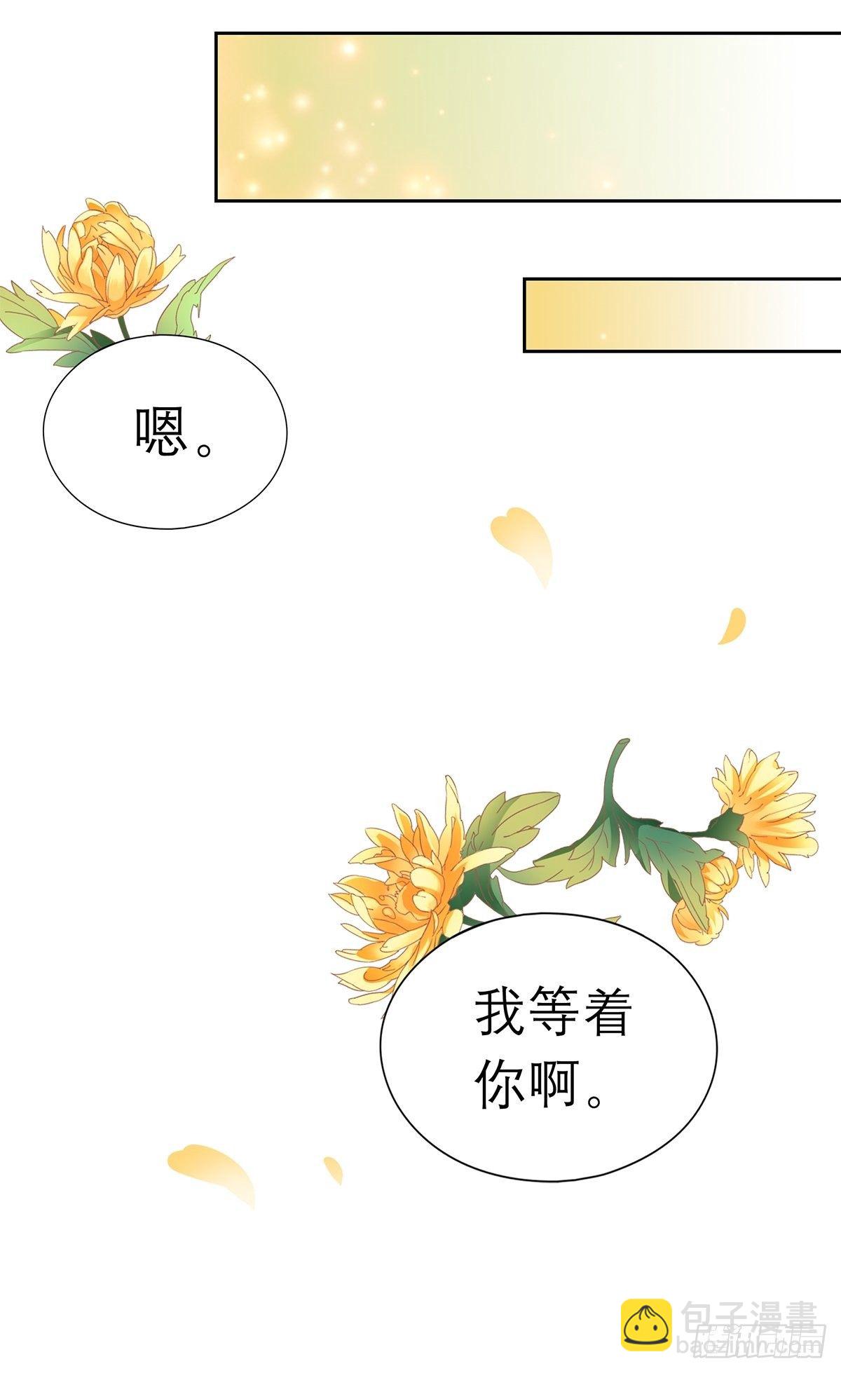 《本王要你》偷天换日 第34页