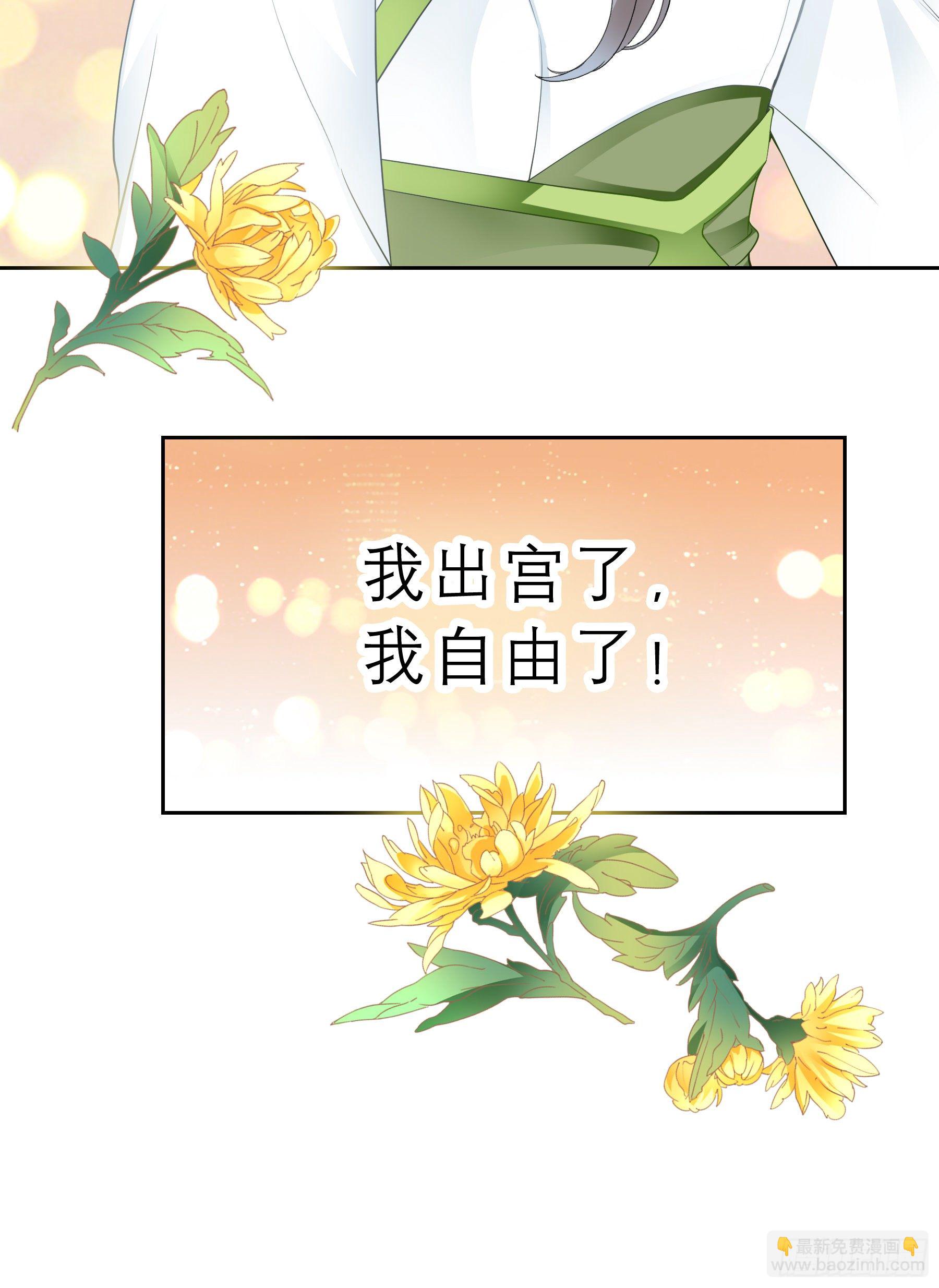 《本王要你》我自由了 第30页