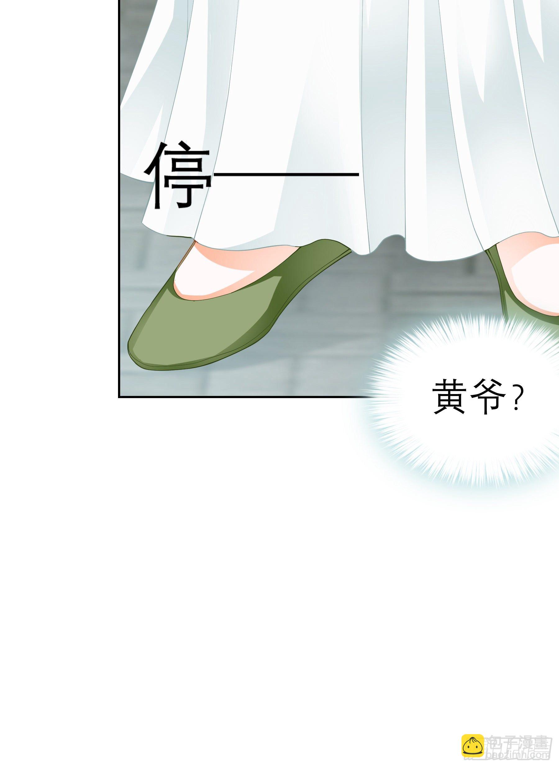 《本王要你》复杂的局势 第18页