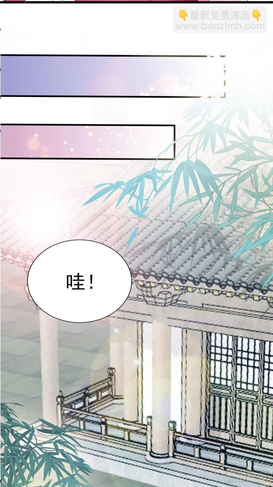 《本王要你》愿得一人心 第11页