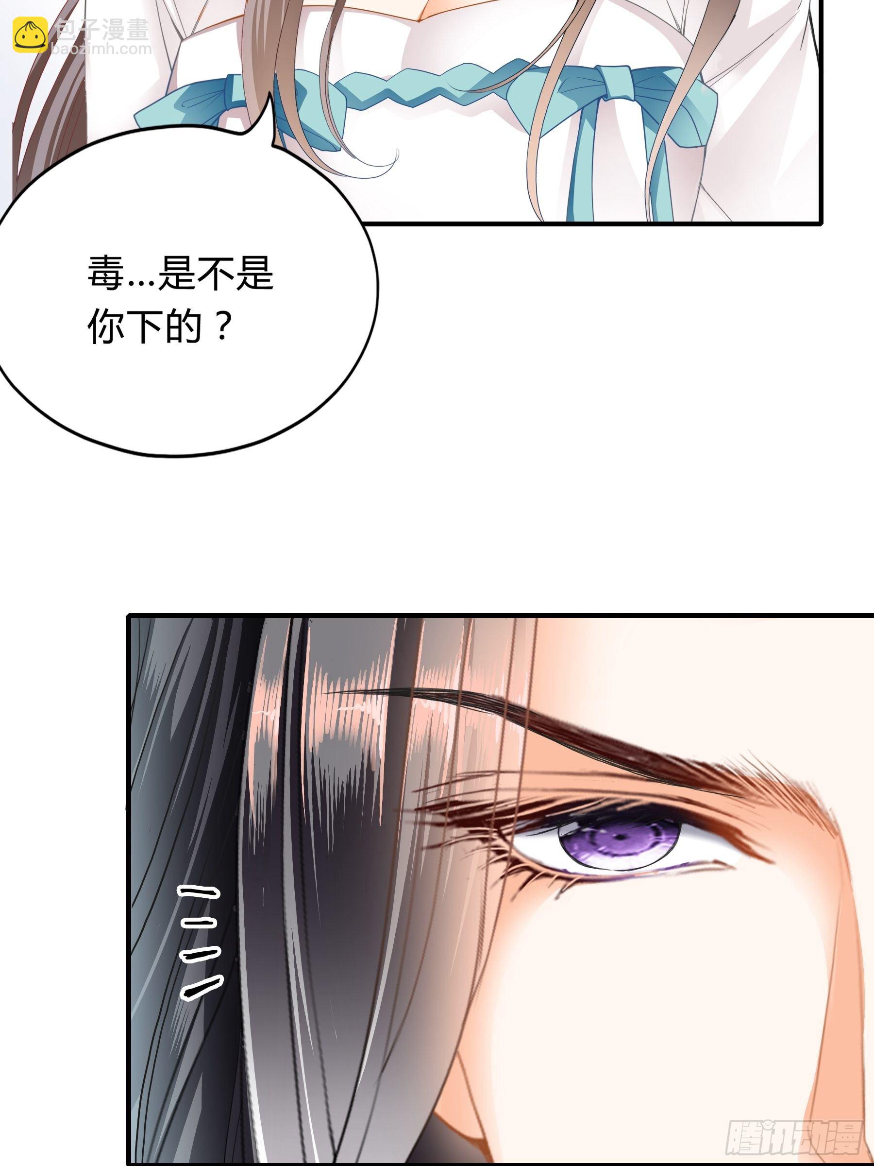 《本王要你》下毒的竟然是你 第13页