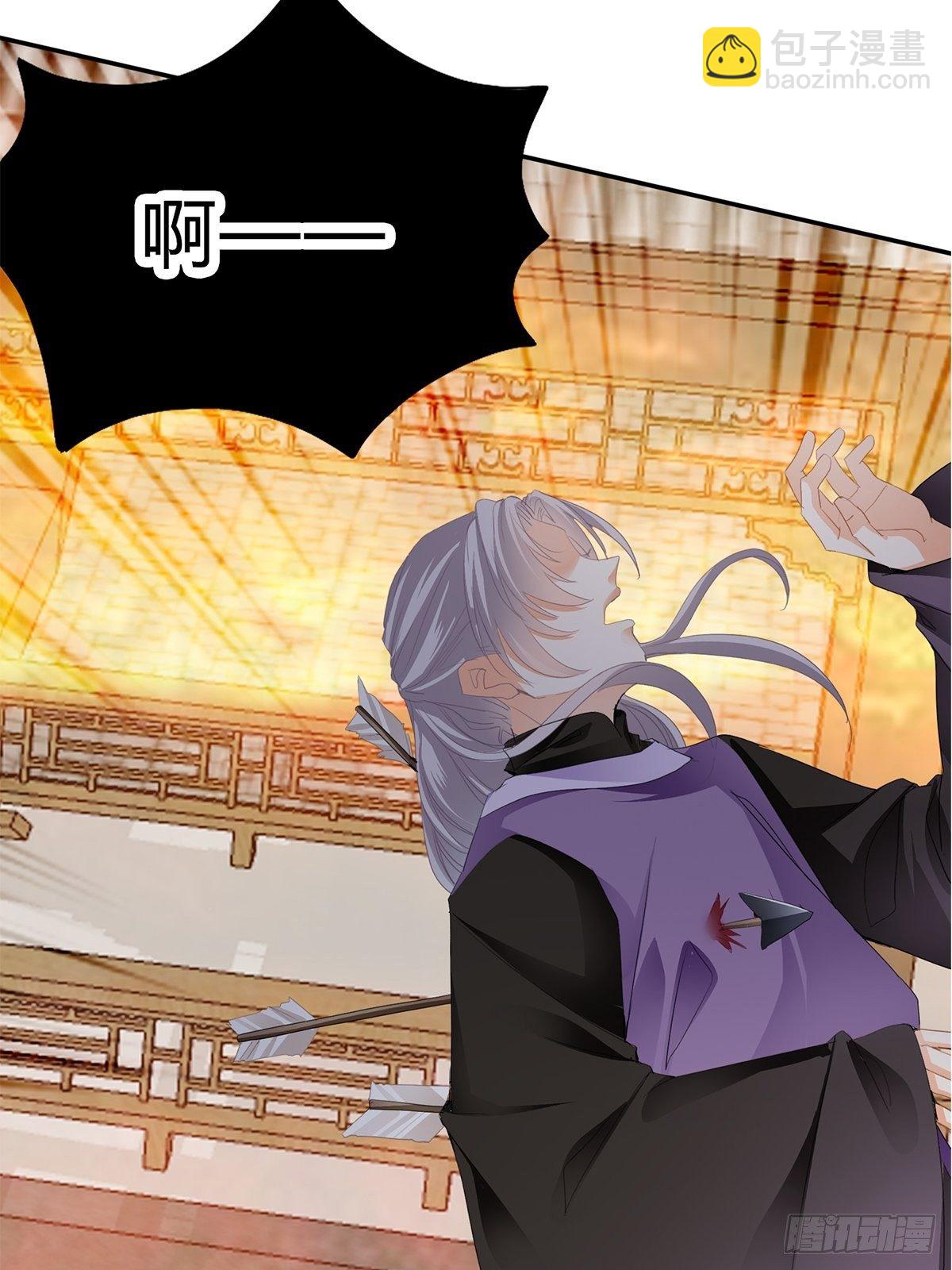《本王要你》射杀云王 第16页