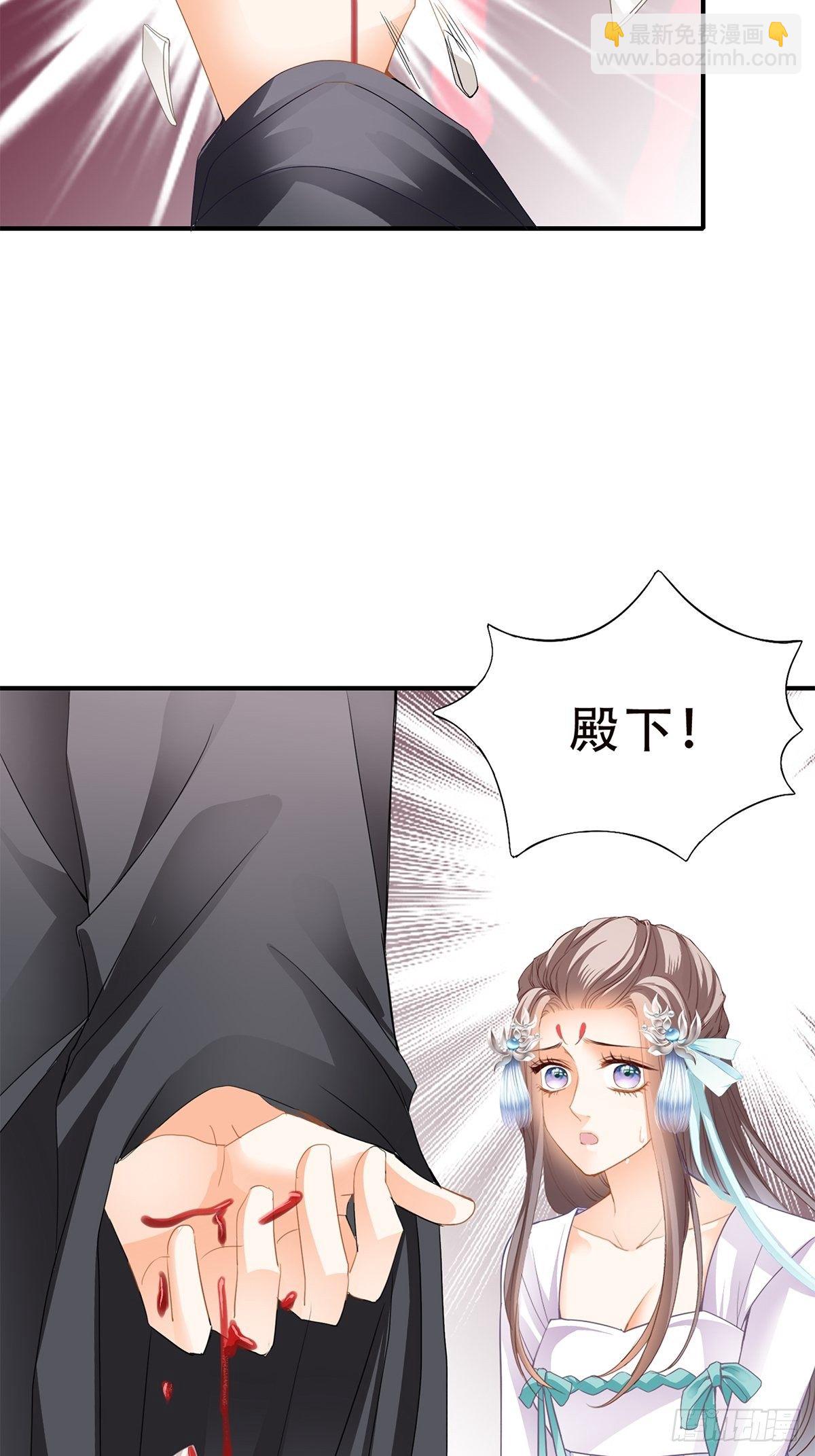《本王要你》挂念太子妃 第28页