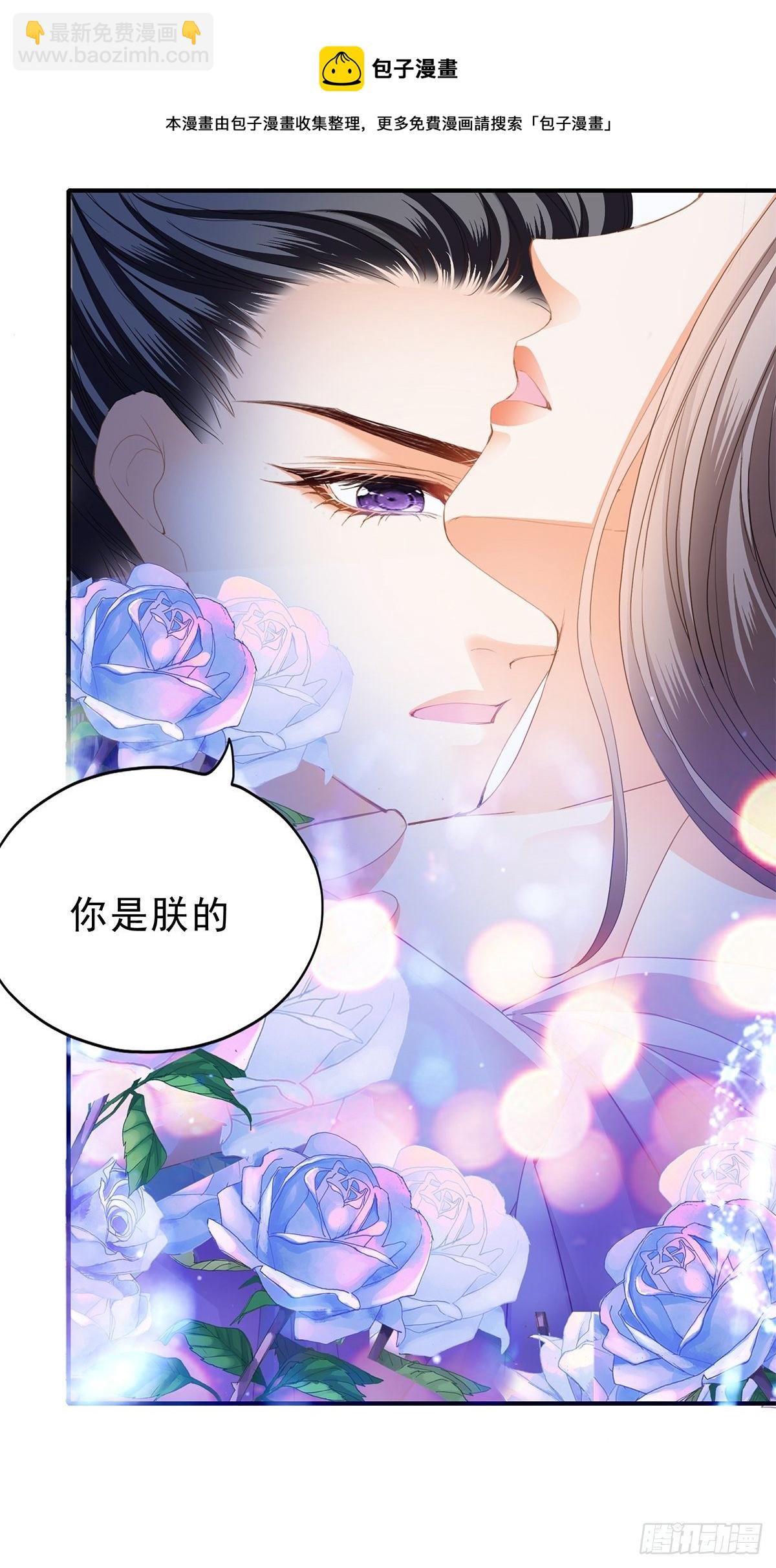《本王要你》有喜？ 第13页