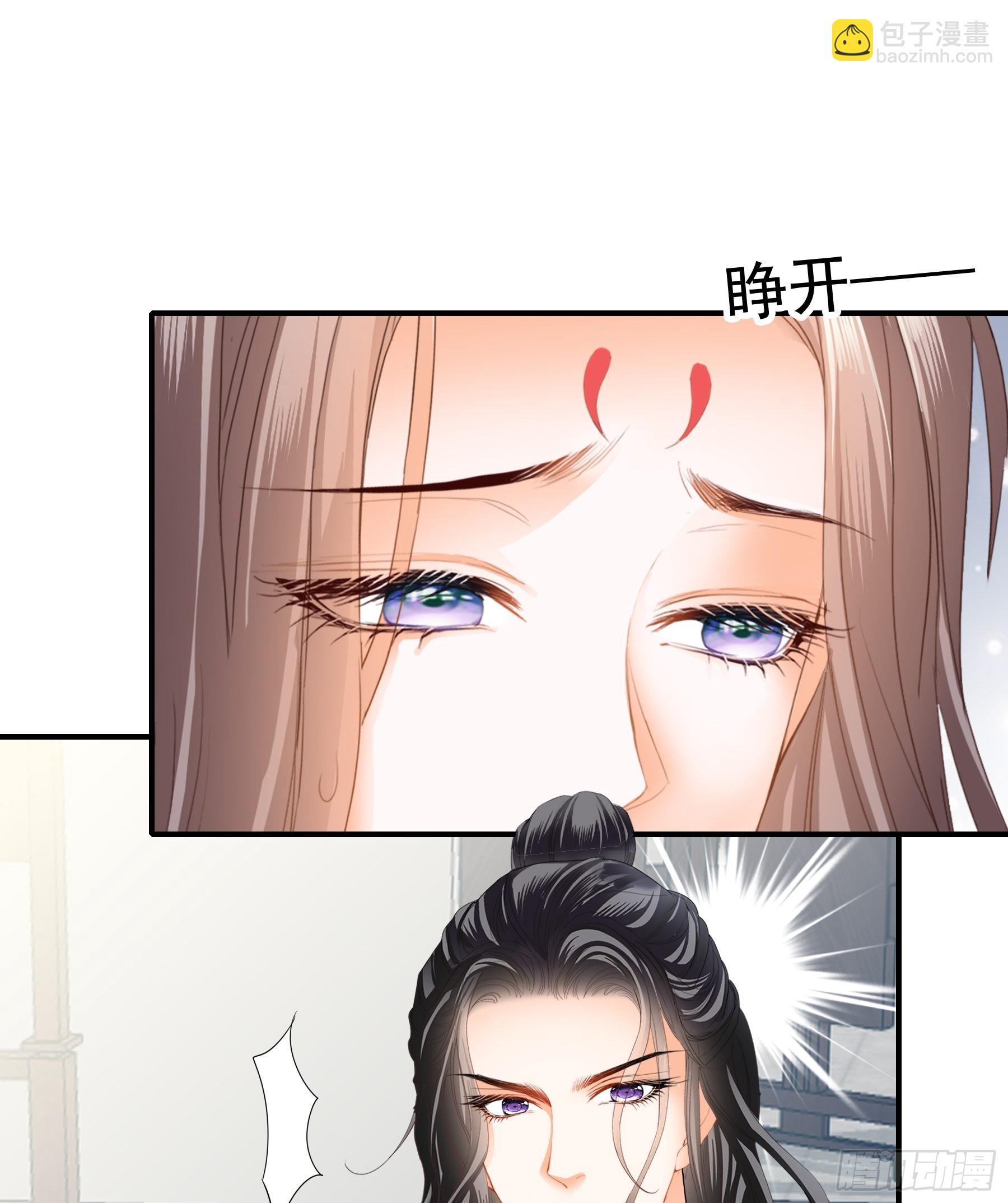 《本王要你》孩子没了 第3页