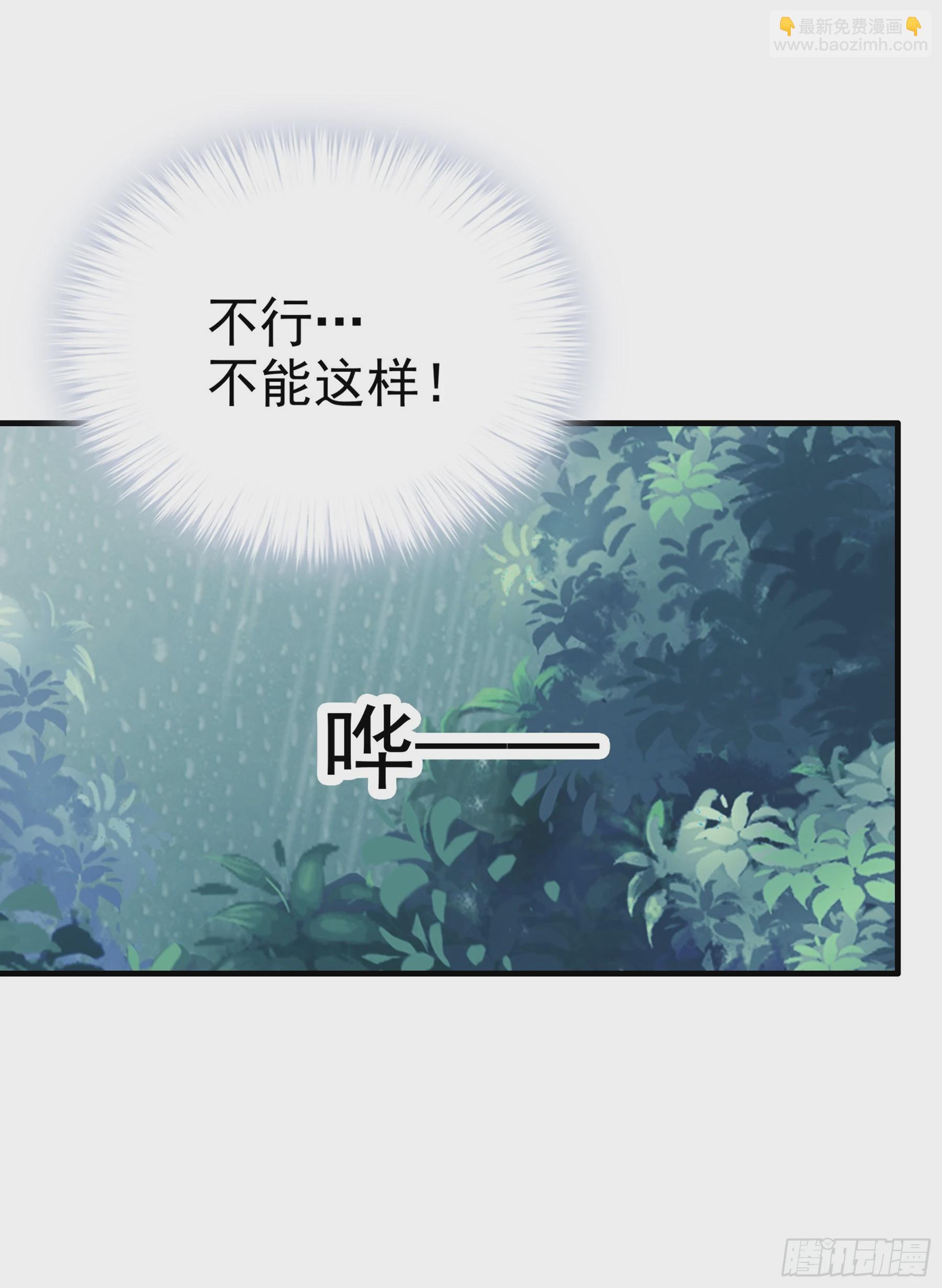 《本王要你》南方的刺客不可杀 第20页
