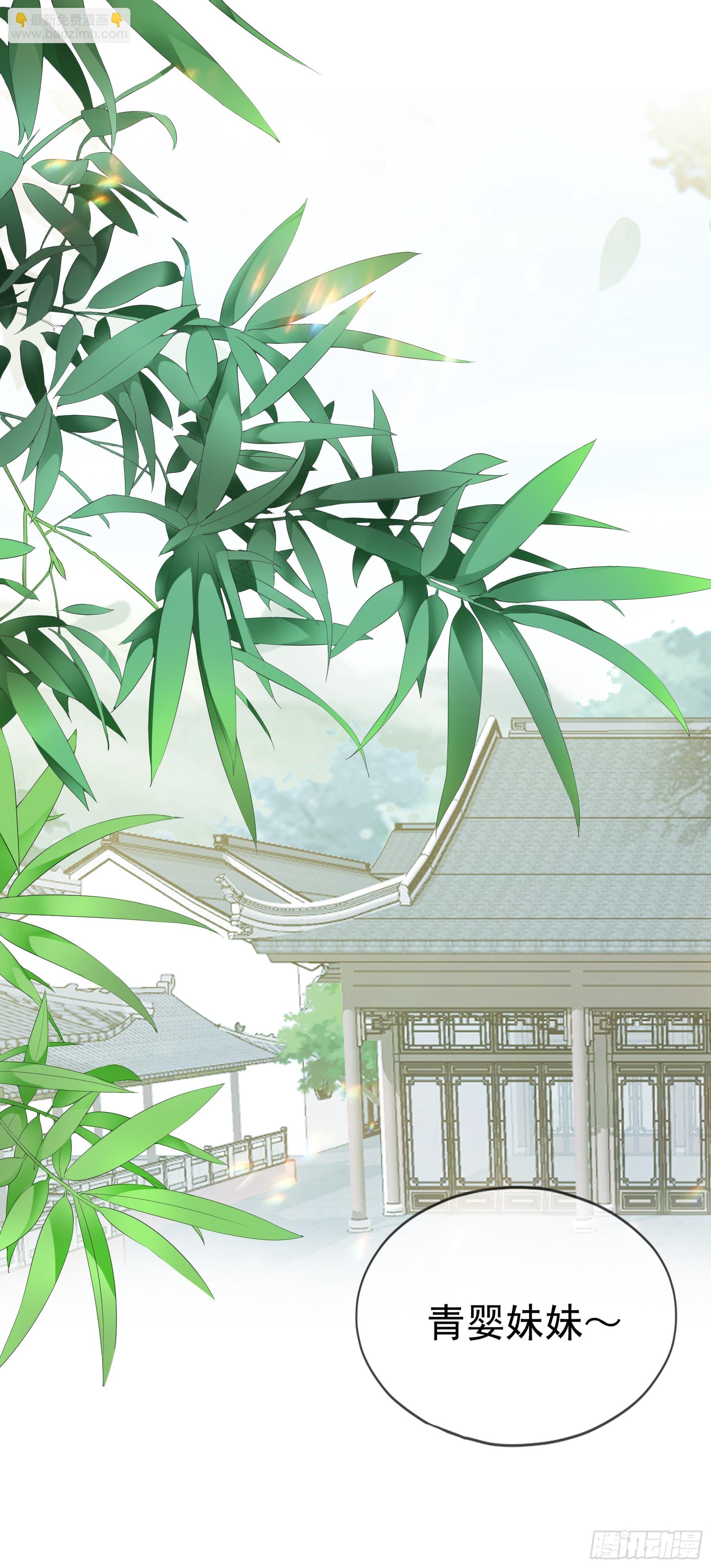 《本王要你》封妃的误会 第2页