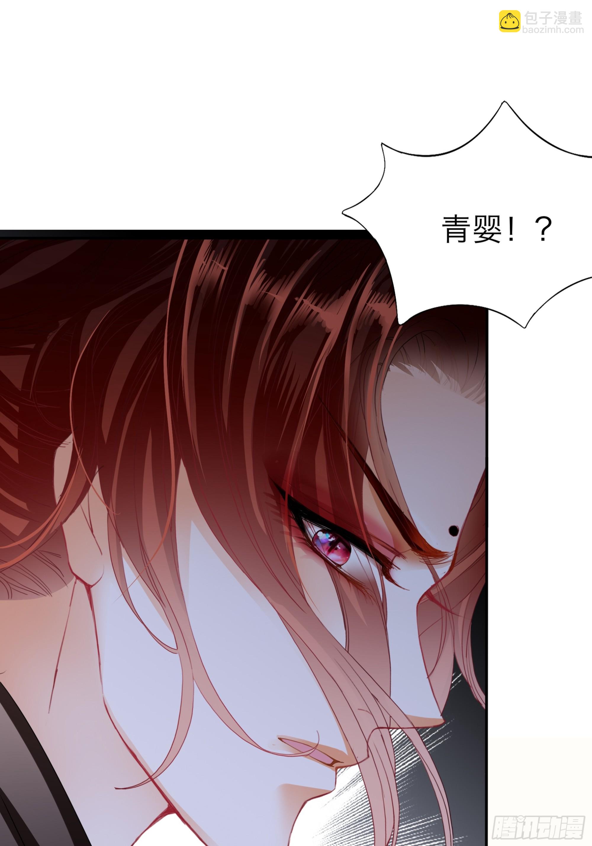 《本王要你》喜得公主 第19页