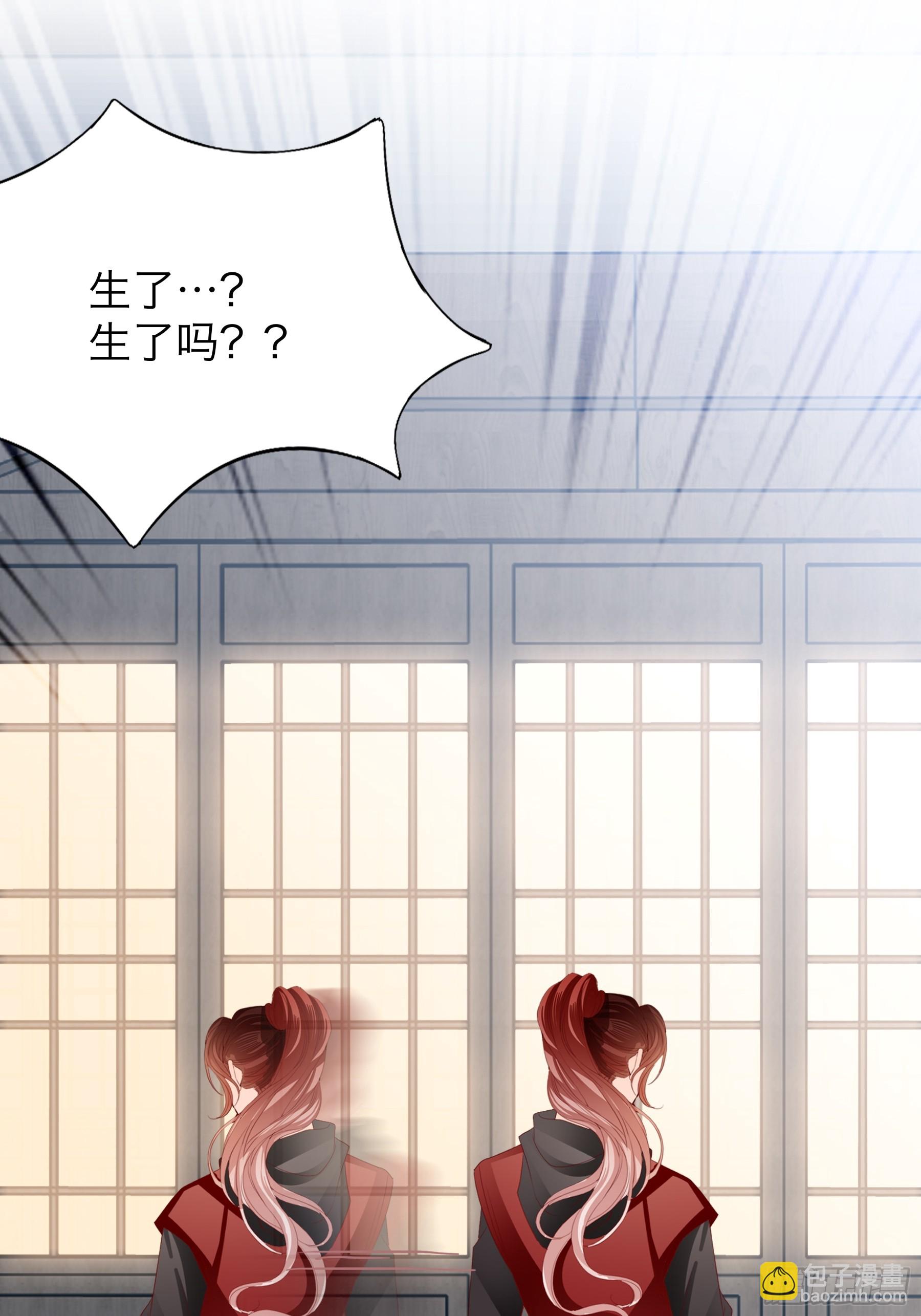 《本王要你》喜得公主 第33页
