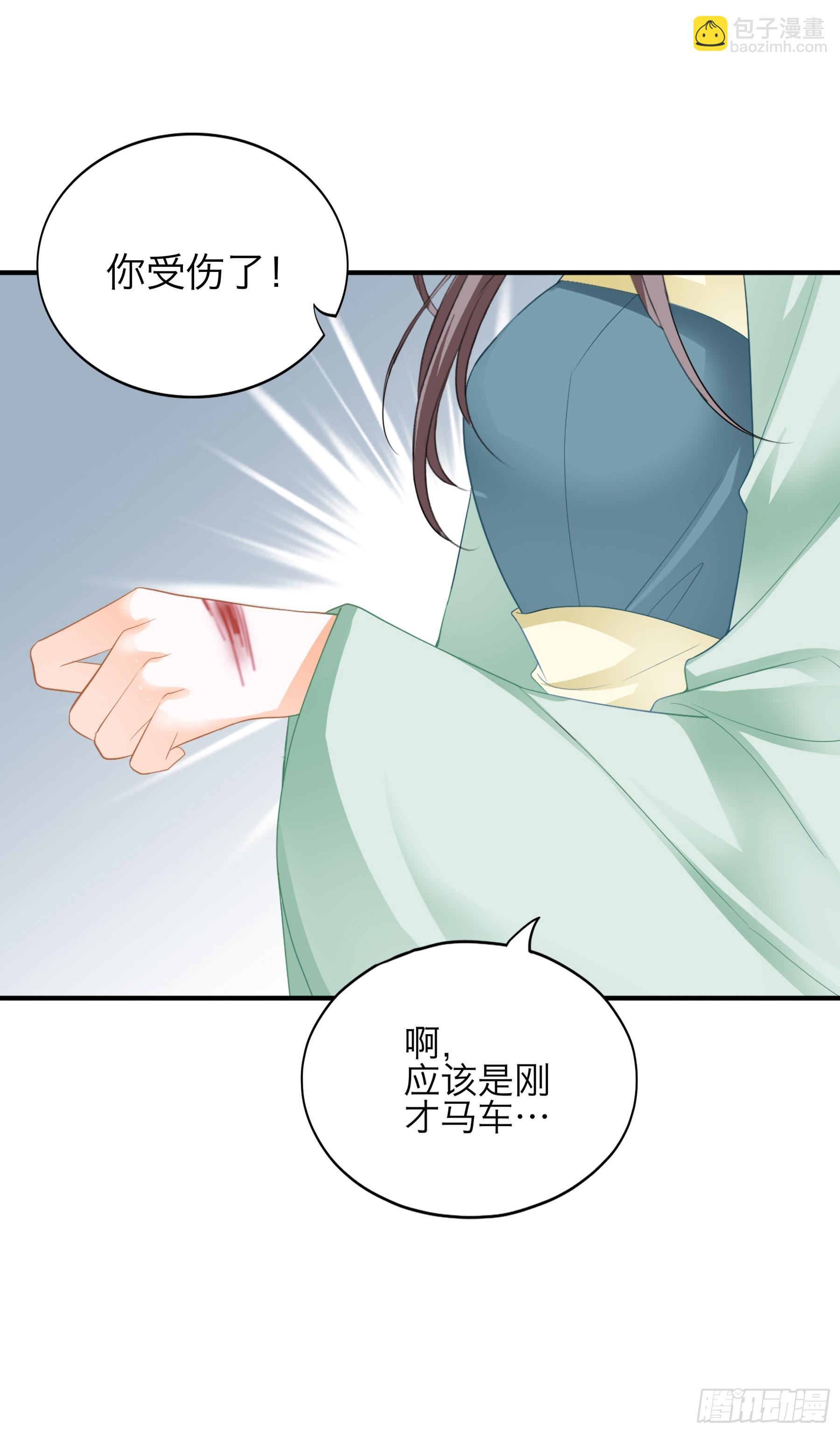 《本王要你》他是谁 第33页