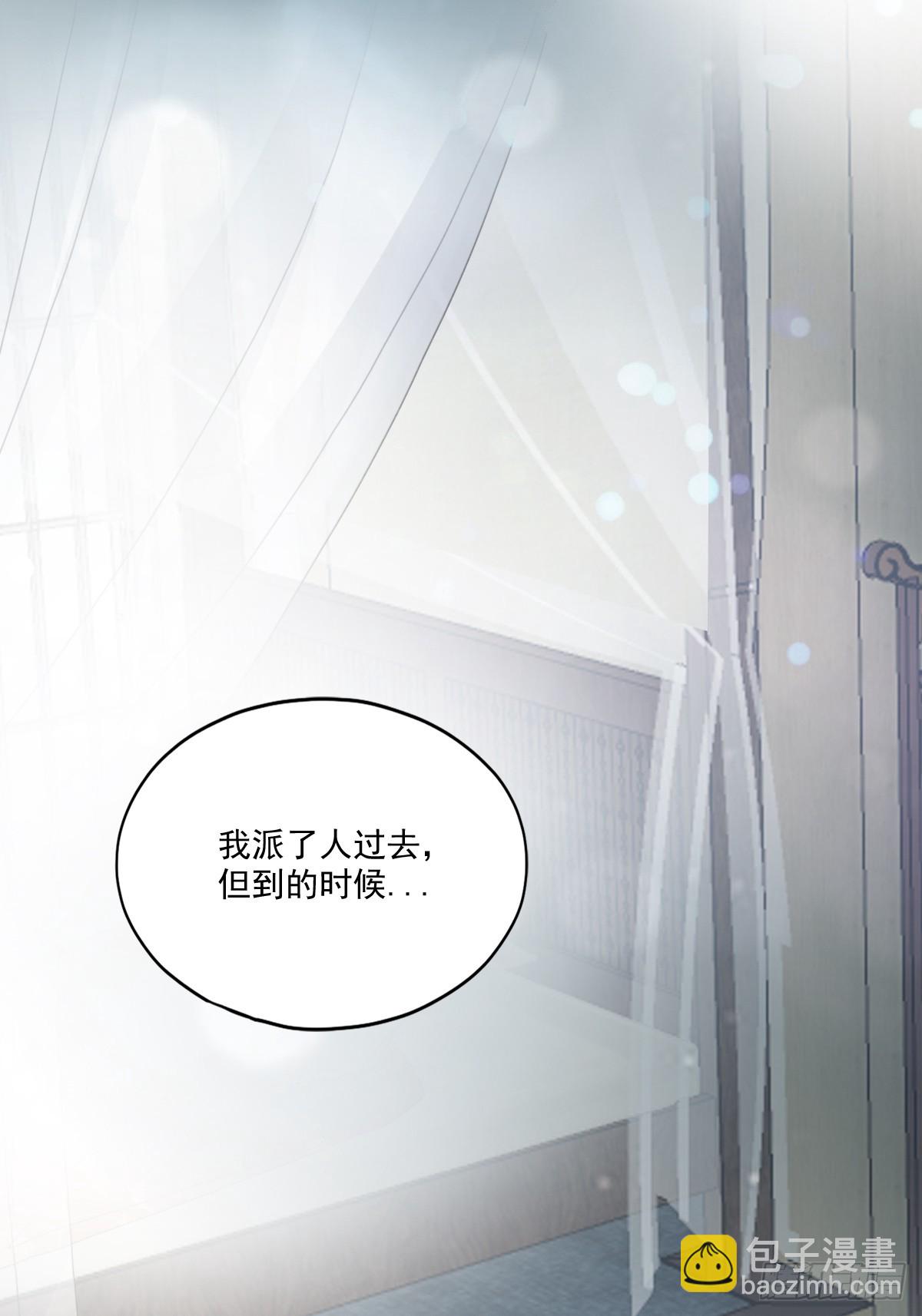 《本王要你》孩子不见了 第27页
