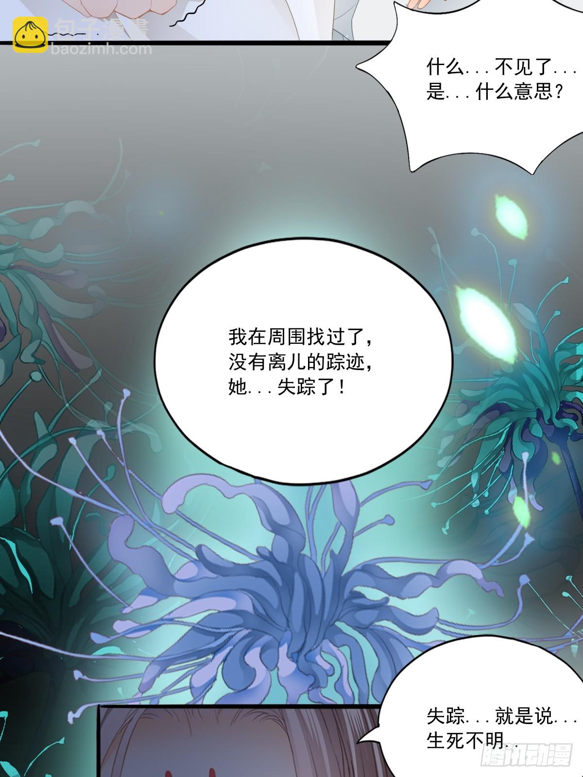 《本王要你》孩子不见了 第30页
