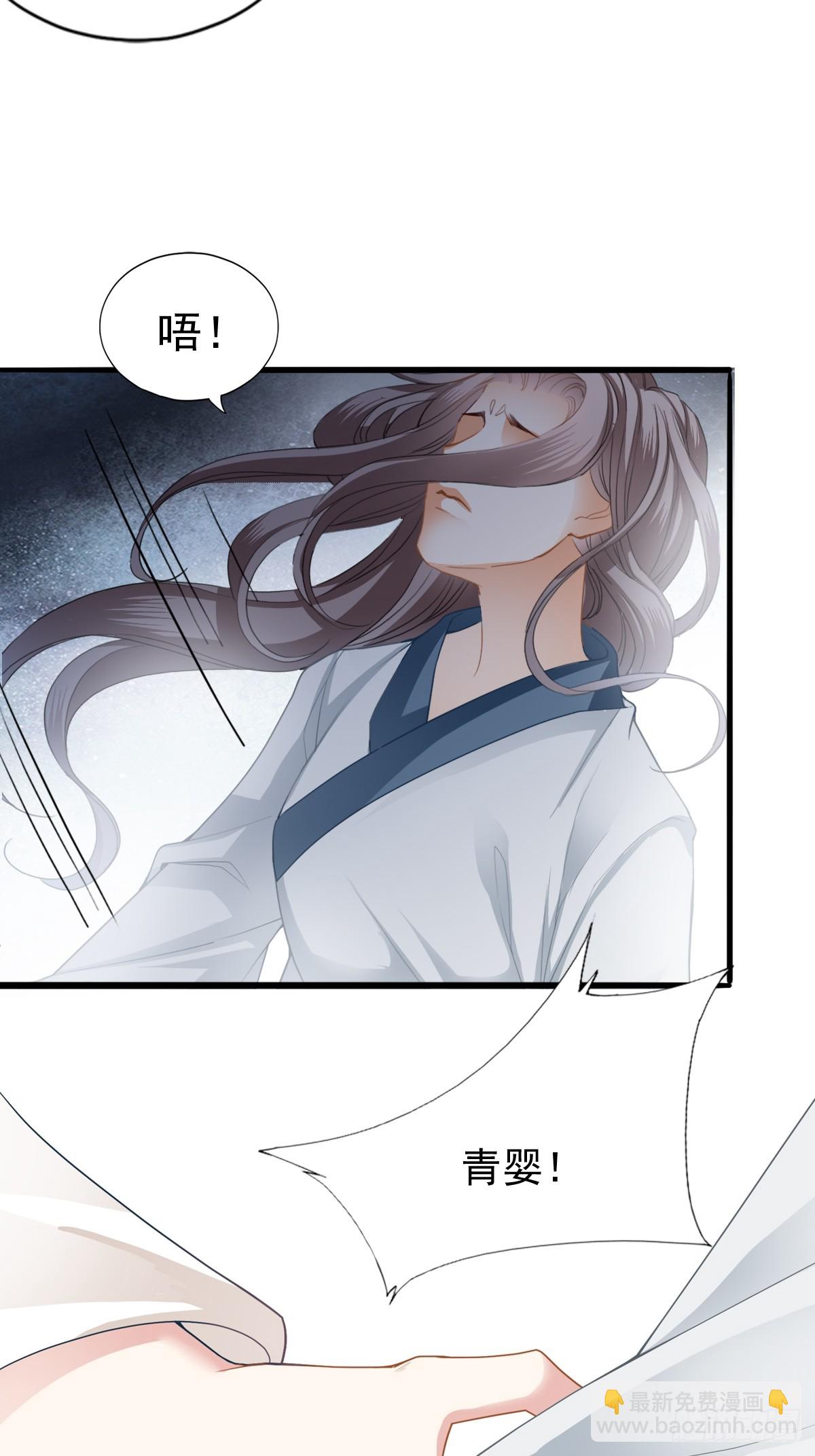 《本王要你》孩子不见了 第36页