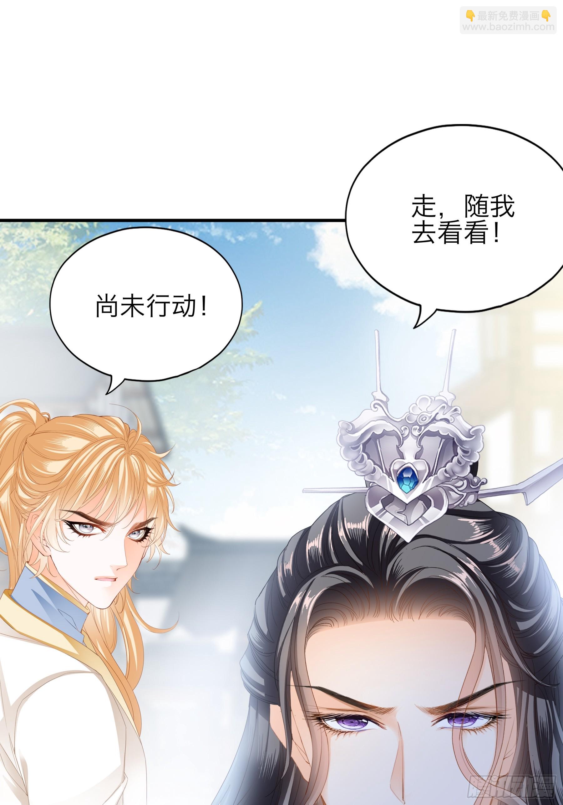 《本王要你》新一轮的进攻 第25页