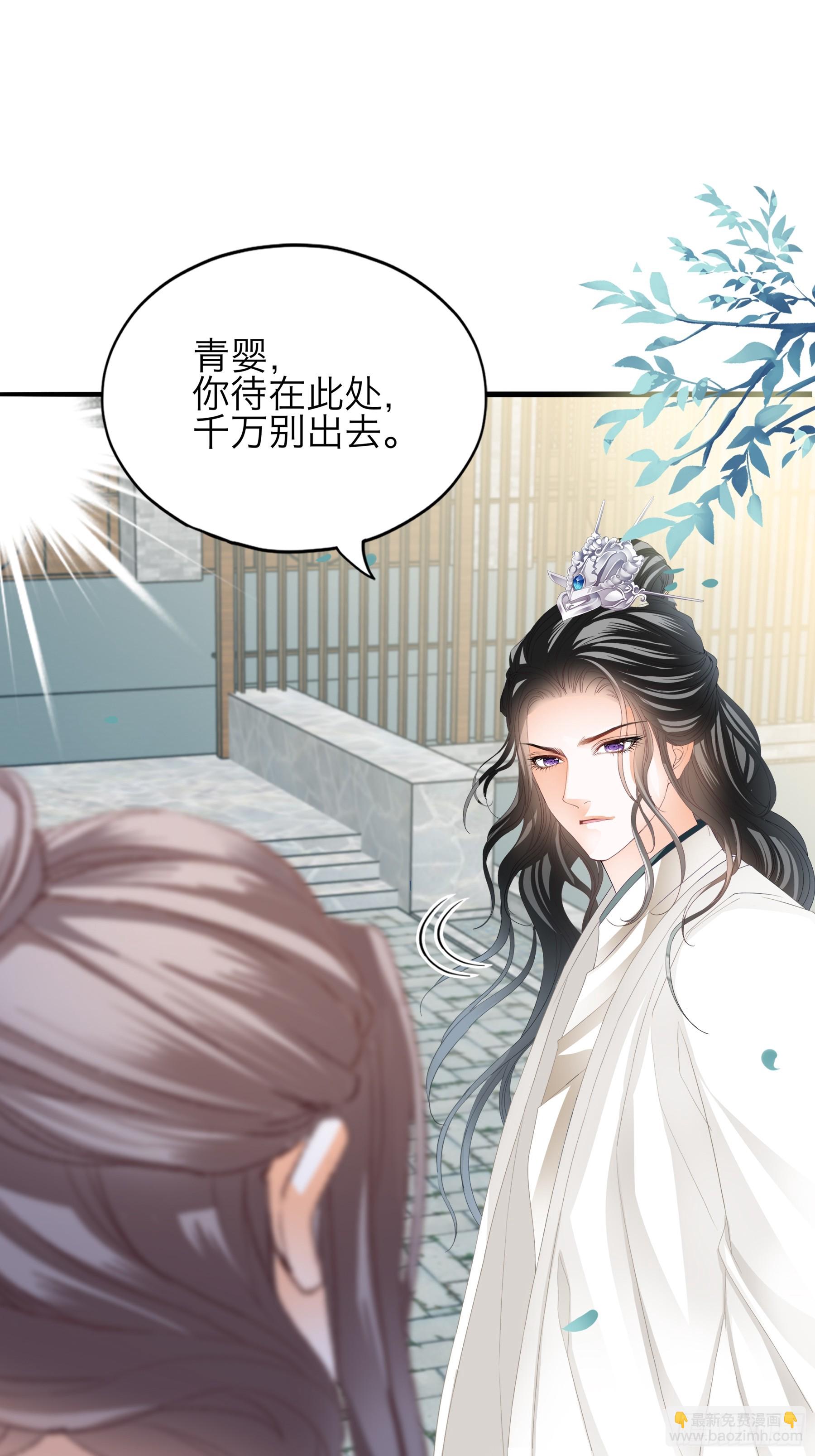 《本王要你》新一轮的进攻 第27页
