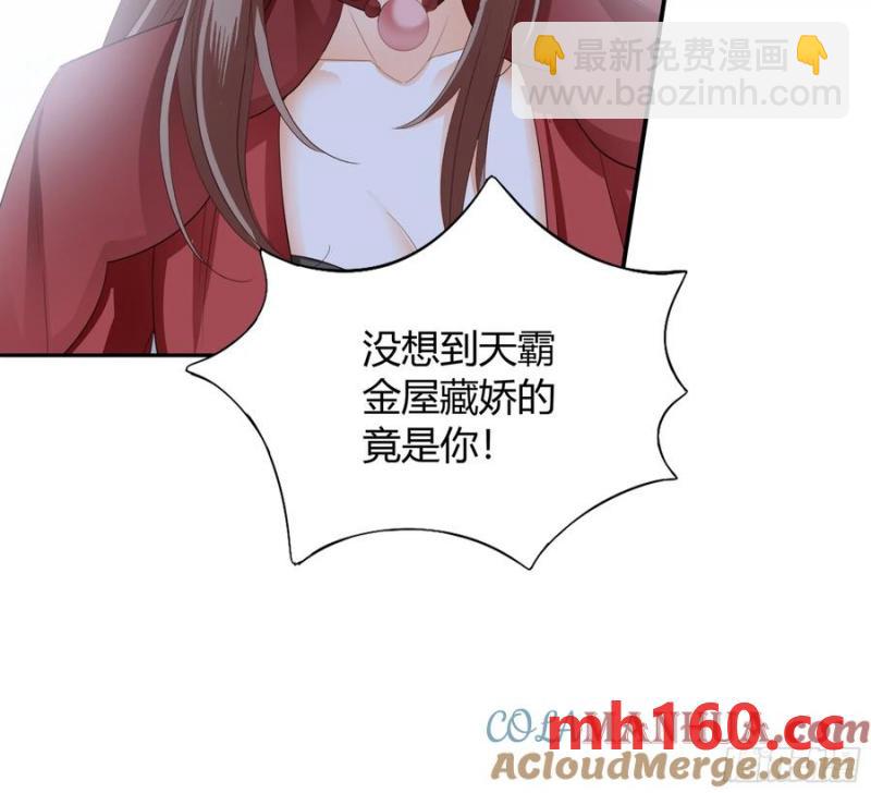 《本王要你》突然造访的慕华 第40页