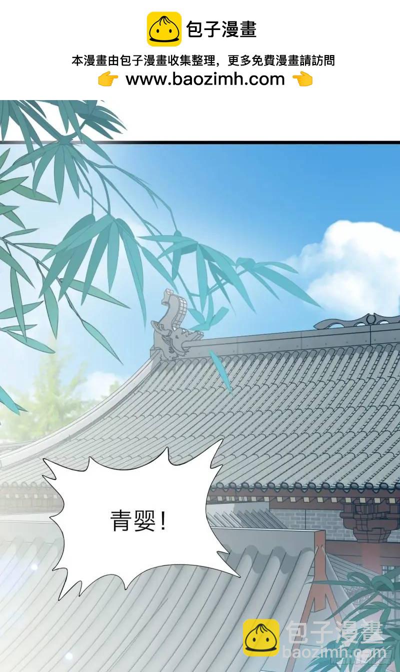 《本王要你》一个圈套 第2页
