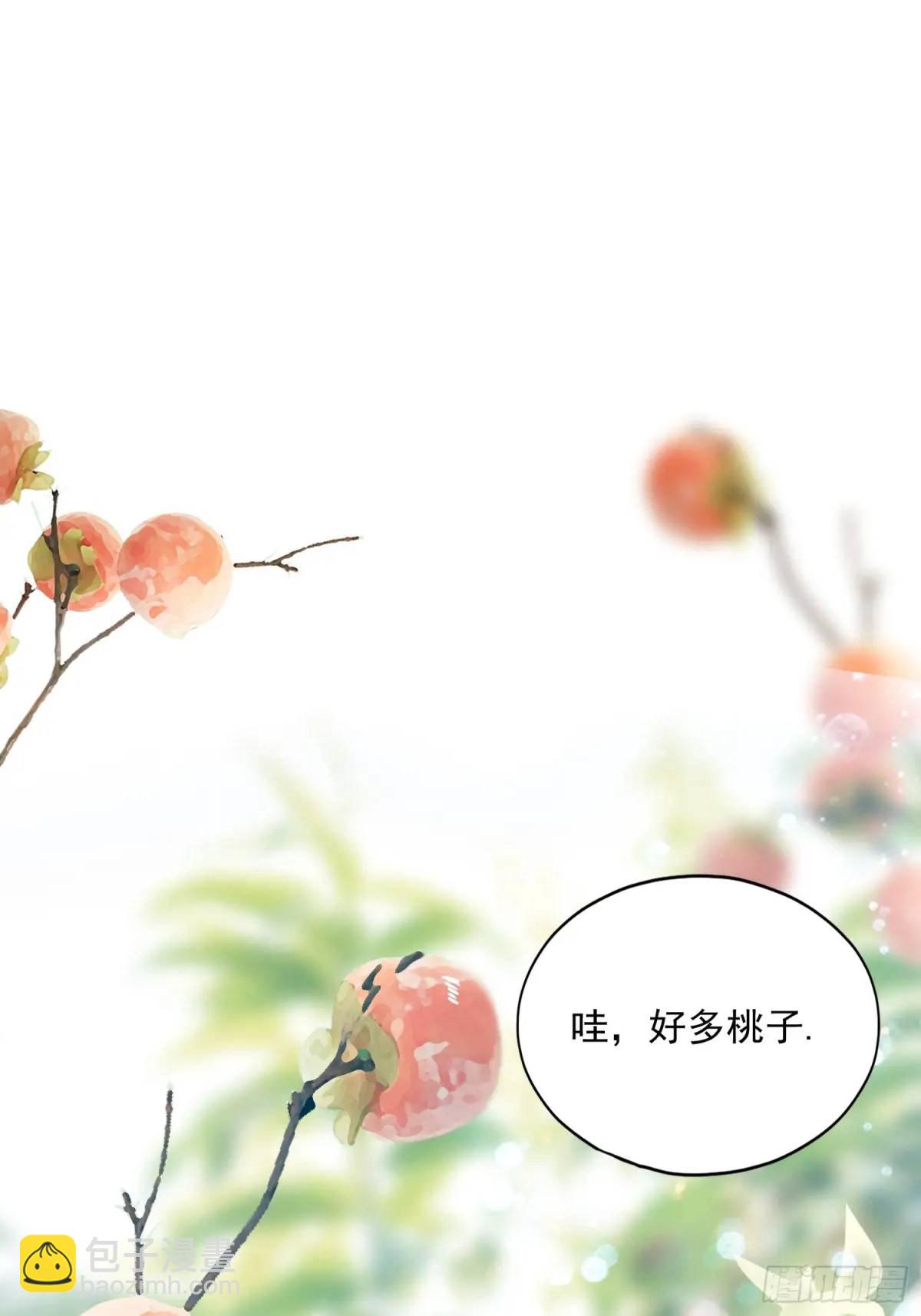 《本王要你》短暂的爱恋 第6页