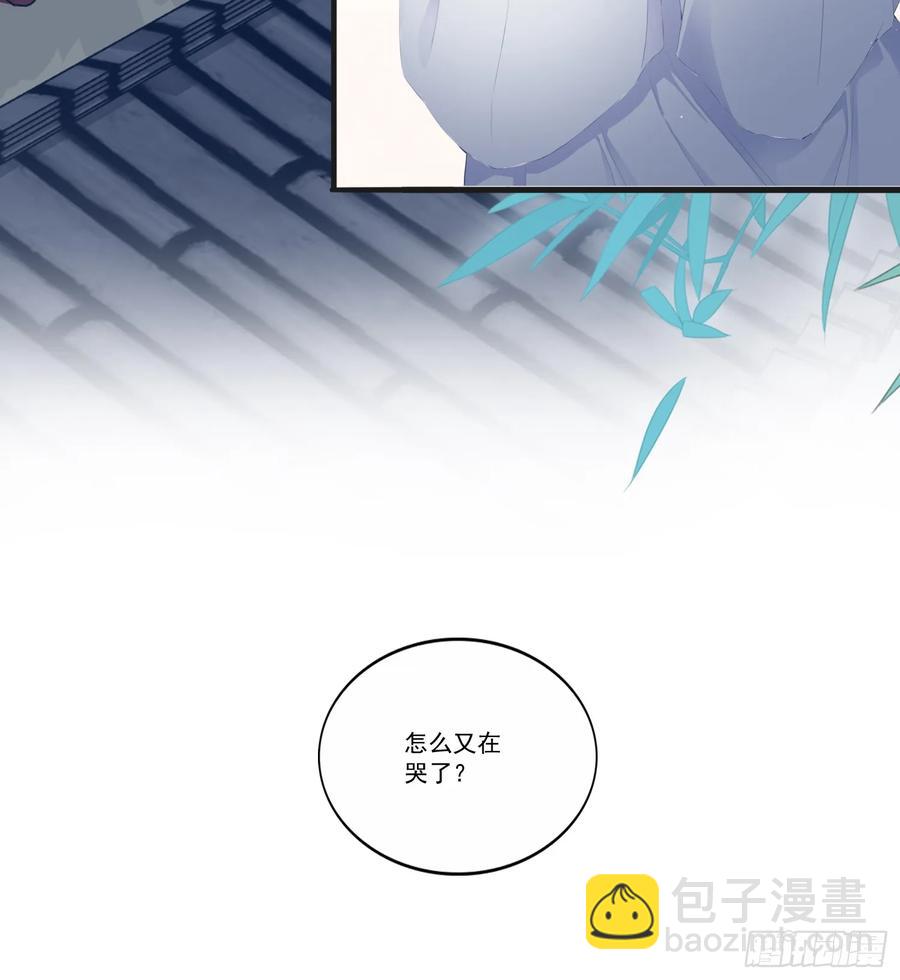 《本王要你》无奈的吻 第20页