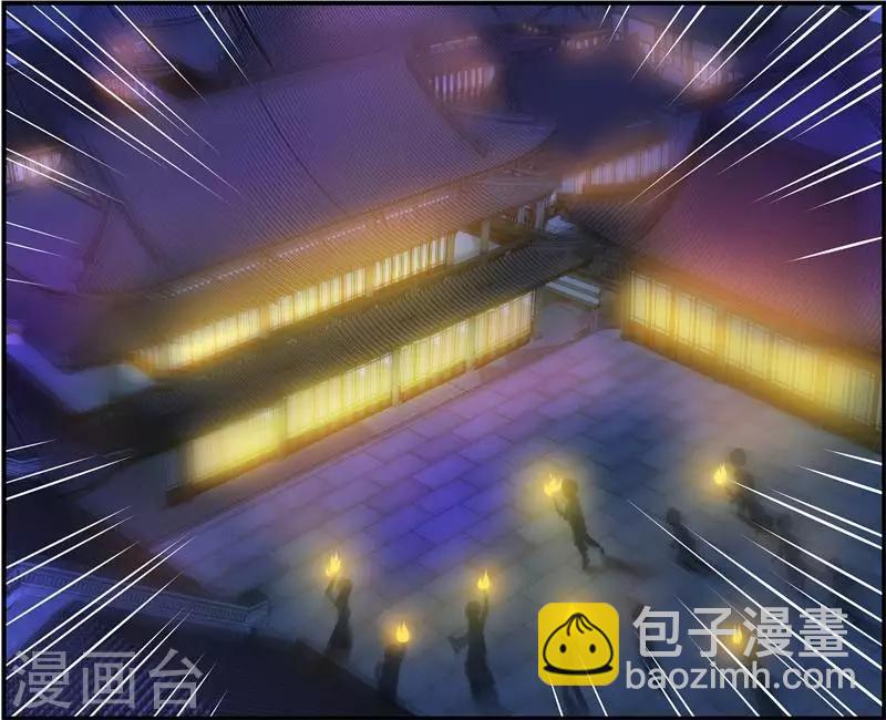 《邪王的绝世毒妃》第8话 真正的王妃 第25页