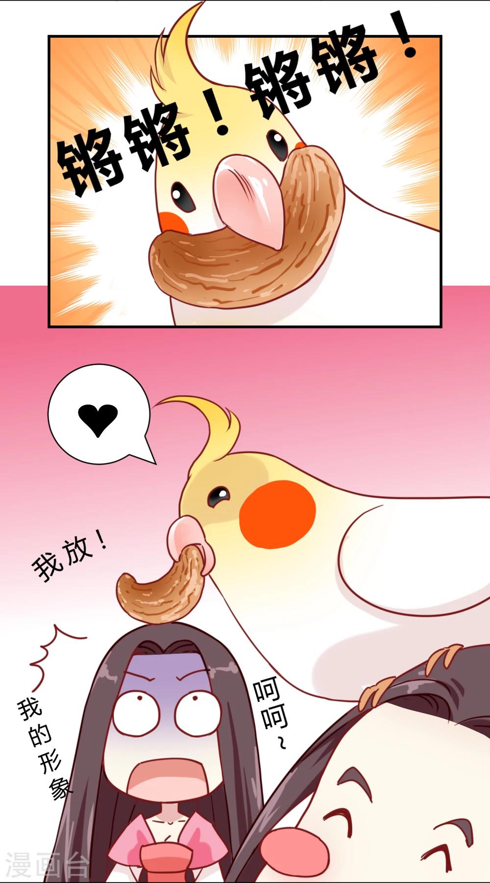 《邪王的绝世毒妃》花絮之来自编辑的疑问 第6页