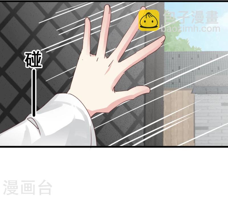 《邪王的绝世毒妃》第48话 张老伯的礼物 第22页
