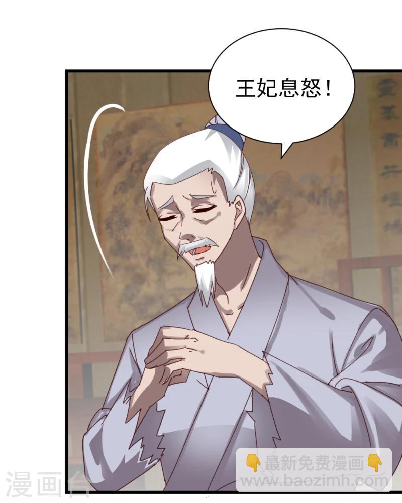 《邪王的绝世毒妃》第48话 张老伯的礼物 第12页
