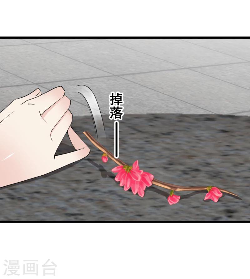 《邪王的绝世毒妃》第66话 暗箭 第26页
