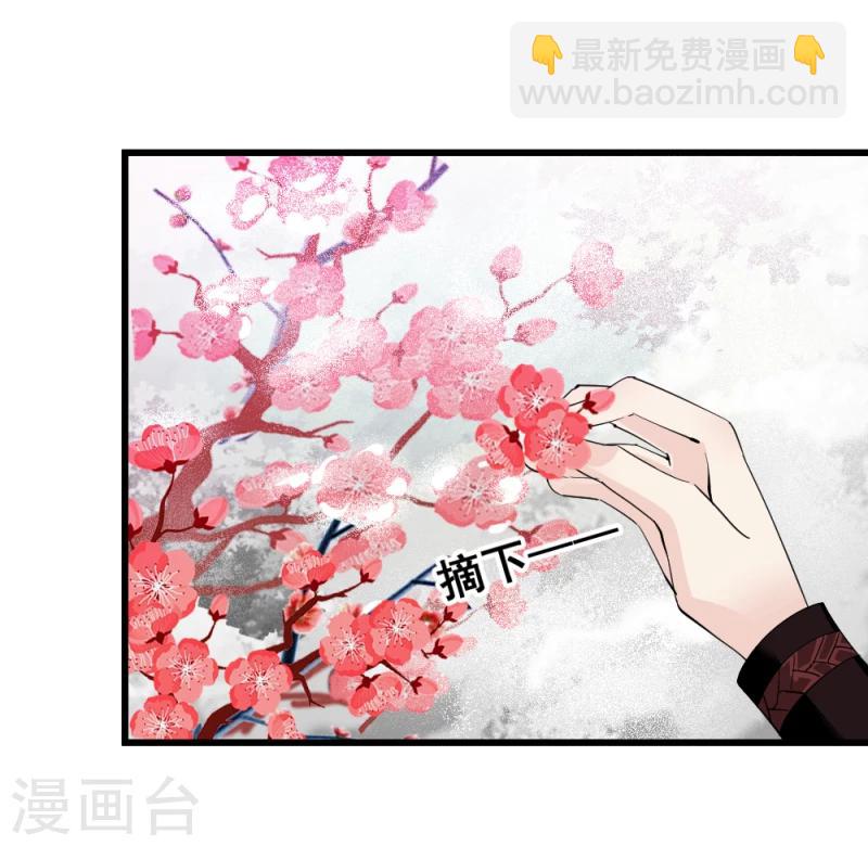 《邪王的绝世毒妃》第76话 真正的拓跋玉 第28页