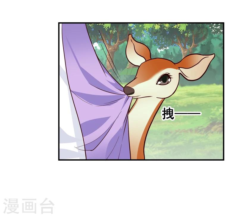 《邪王的绝世毒妃》第95话 捡到宝了 第14页