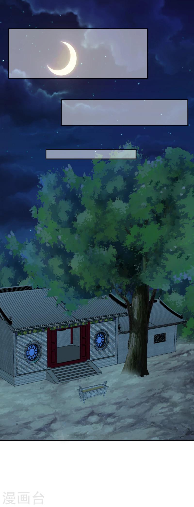 《邪王的绝世毒妃》第133话 被绑架了 第30页