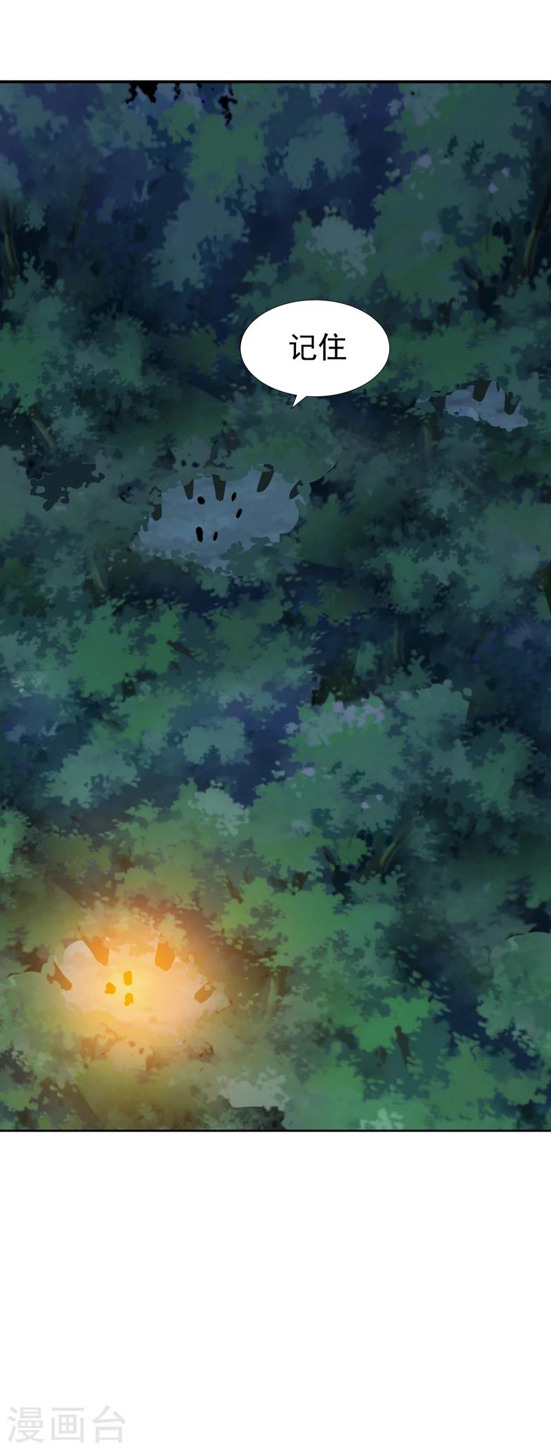 《邪王的绝世毒妃》第135话 被暗算了 第30页