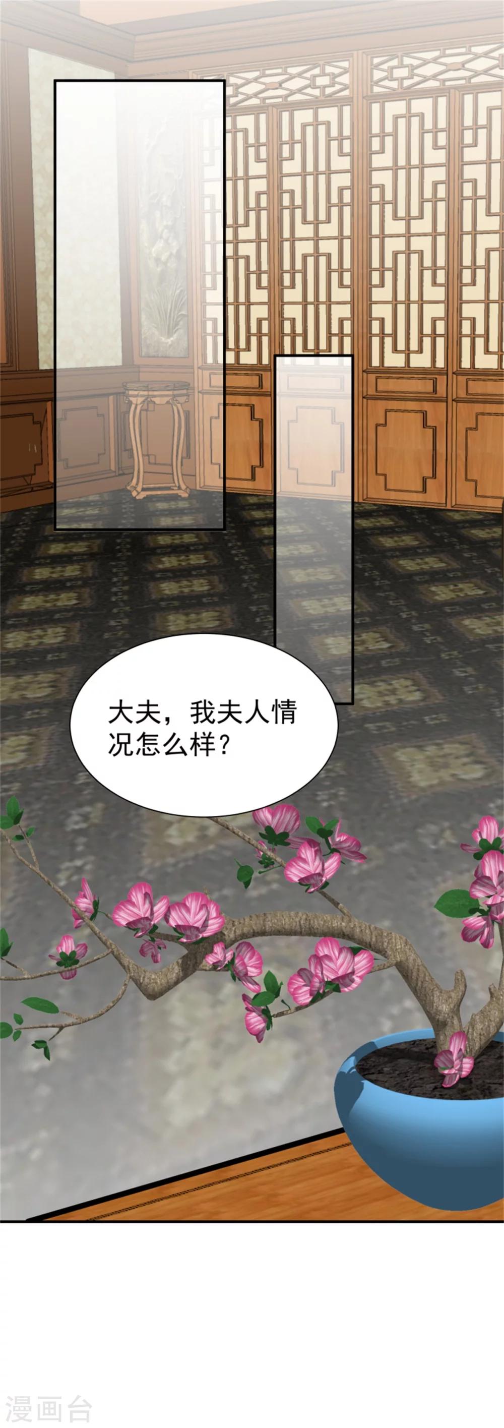 《邪王的绝世毒妃》第157话 有喜了 第24页