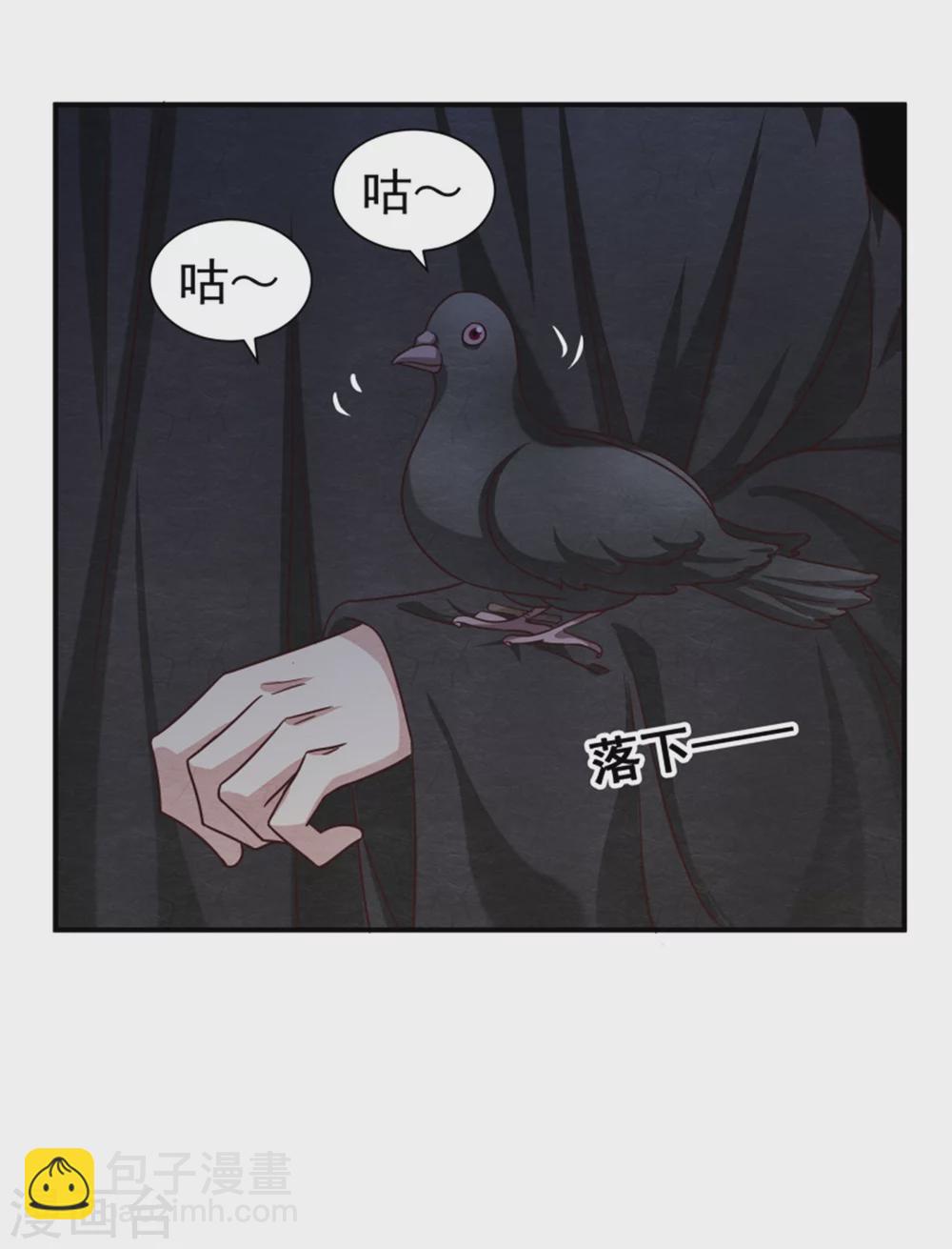 《邪王的绝世毒妃》173 宴会前夕 第3页