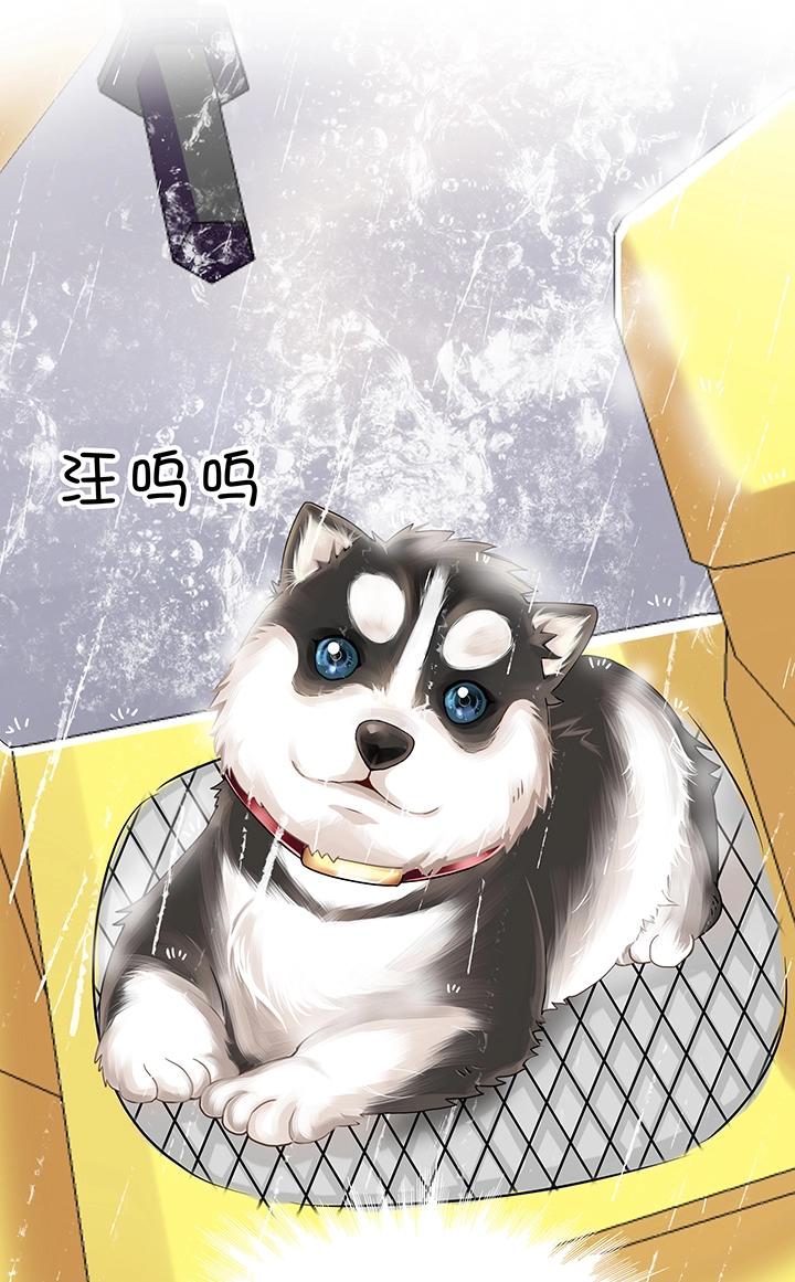 《我的不靠谱王子殿下》第011话 冤家路窄 下 第21页