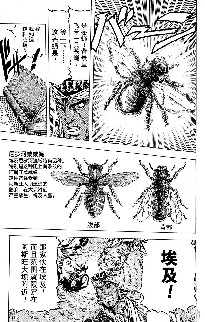 《乔乔的奇妙冒险（1-5部)》121 幽波纹（替身）战士们之卷 第17页