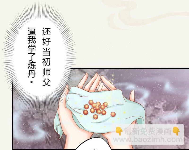 《绝世炼丹师》005 小姐是药剂师？ 第12页